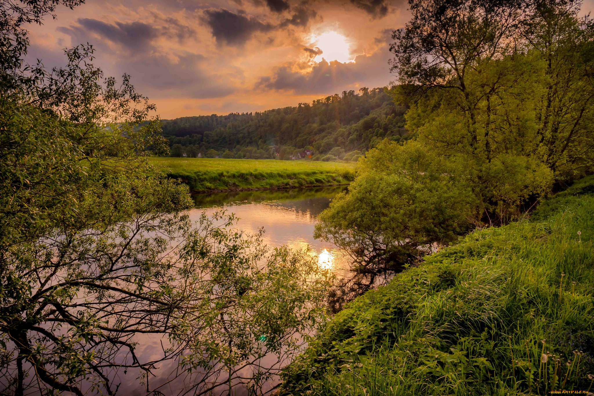 природа, реки, озера, река, лес