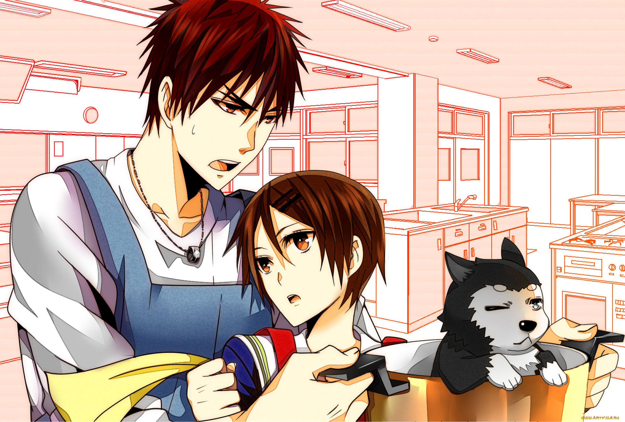 аниме, kuroko, no, baske, собака, тайга, кагами, девушка