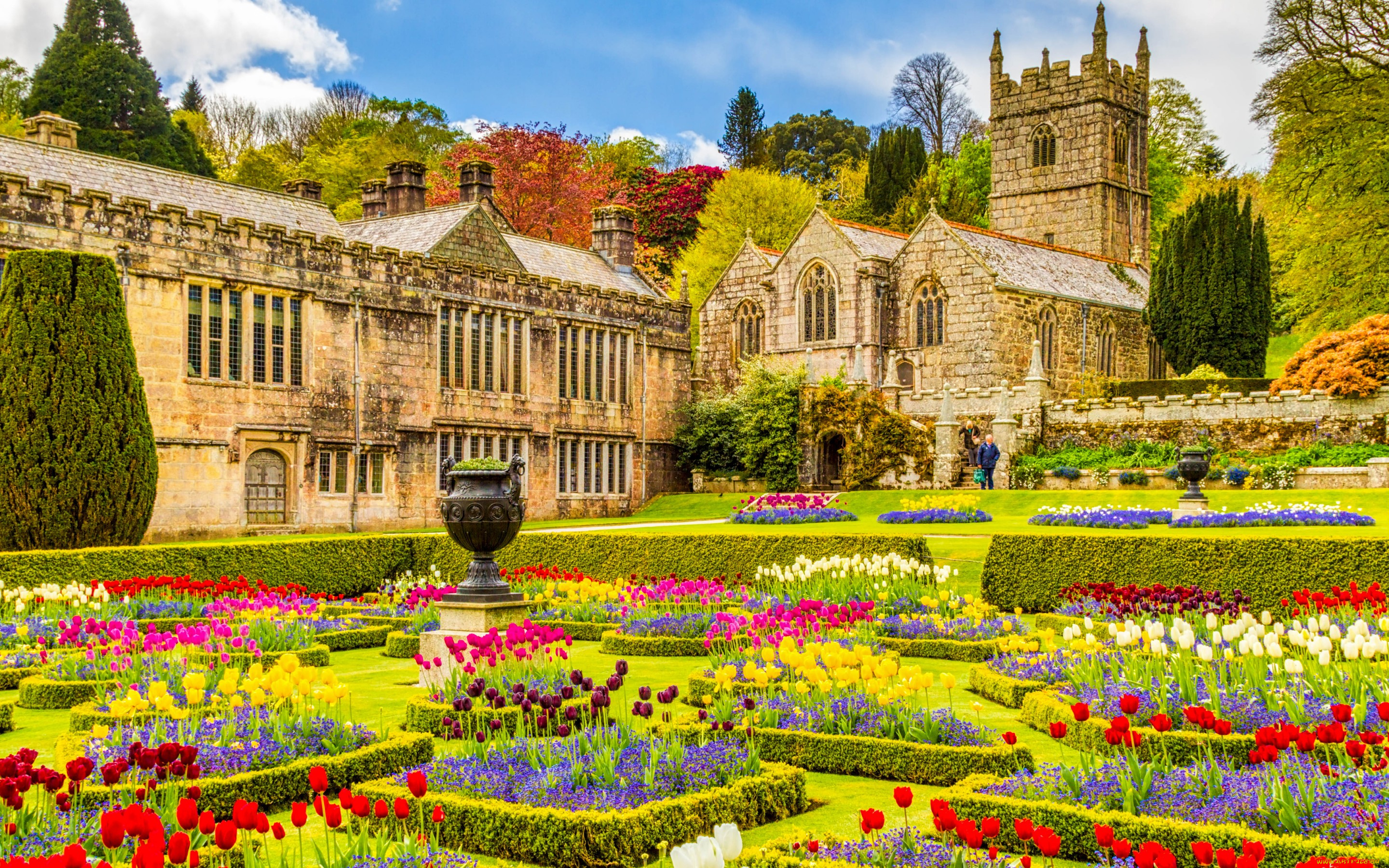 города, замки, англии, лангайдрок, корнуолл, англия, особняк, церковь, сад, цветы