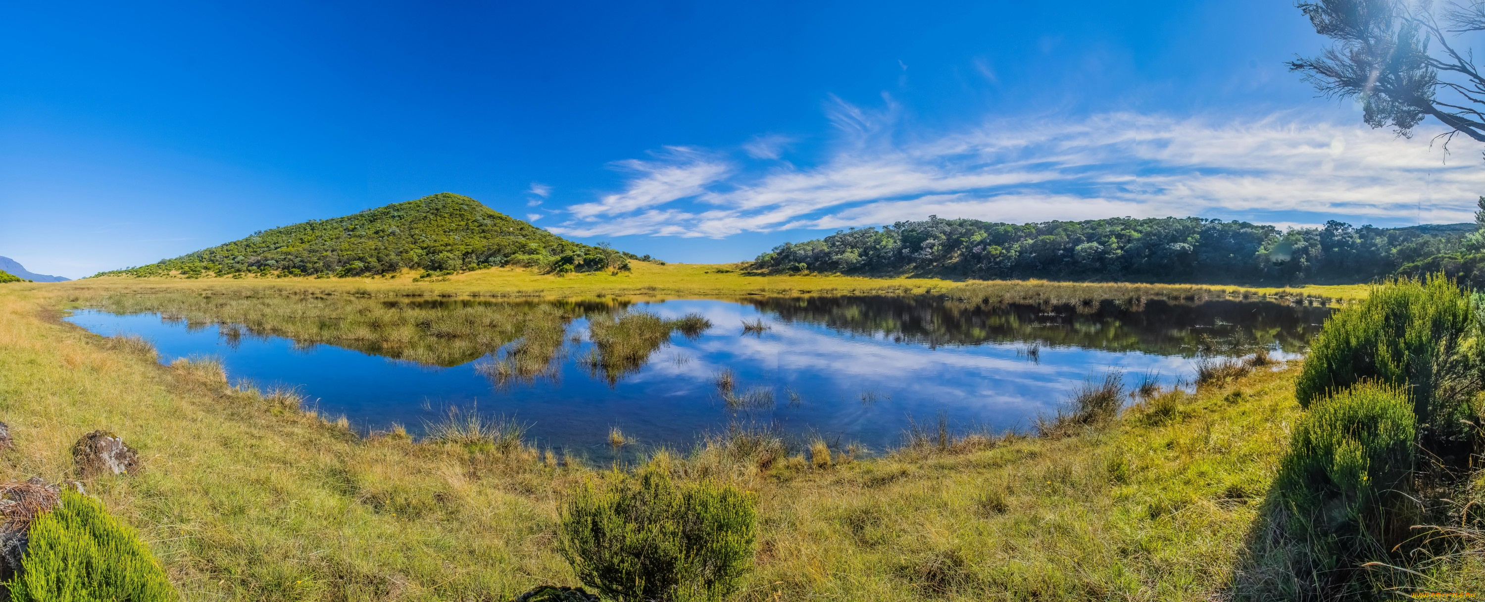 природа, реки, озера, река, лес