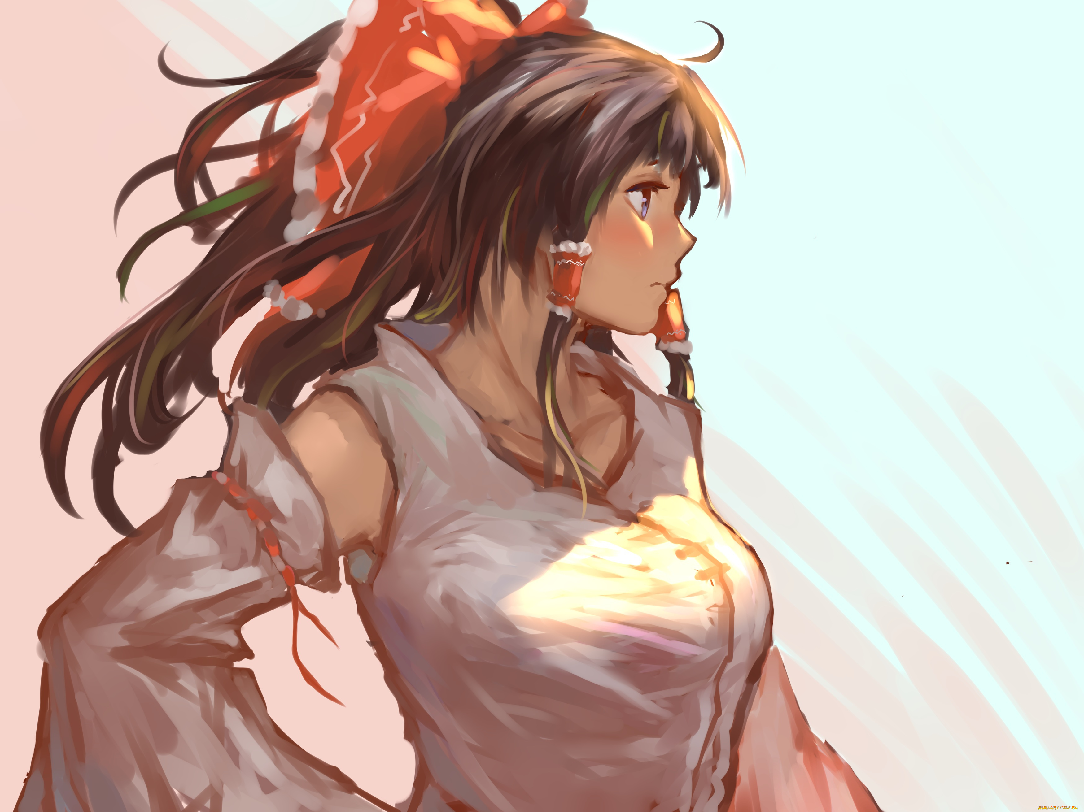 аниме, touhou, pauld, hakurei, reimu