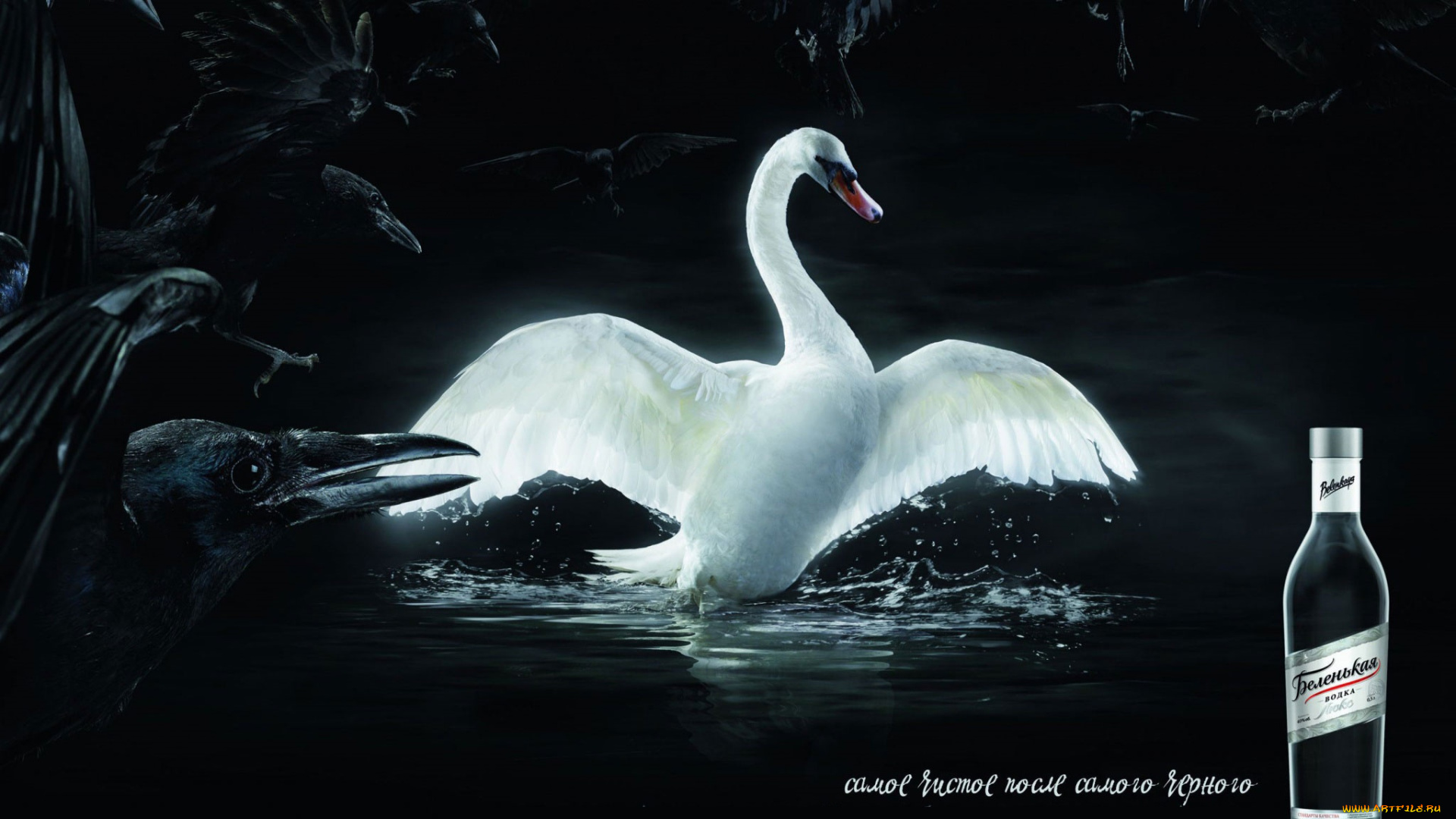 бренды, бренды, напитков, , разное, лебедь