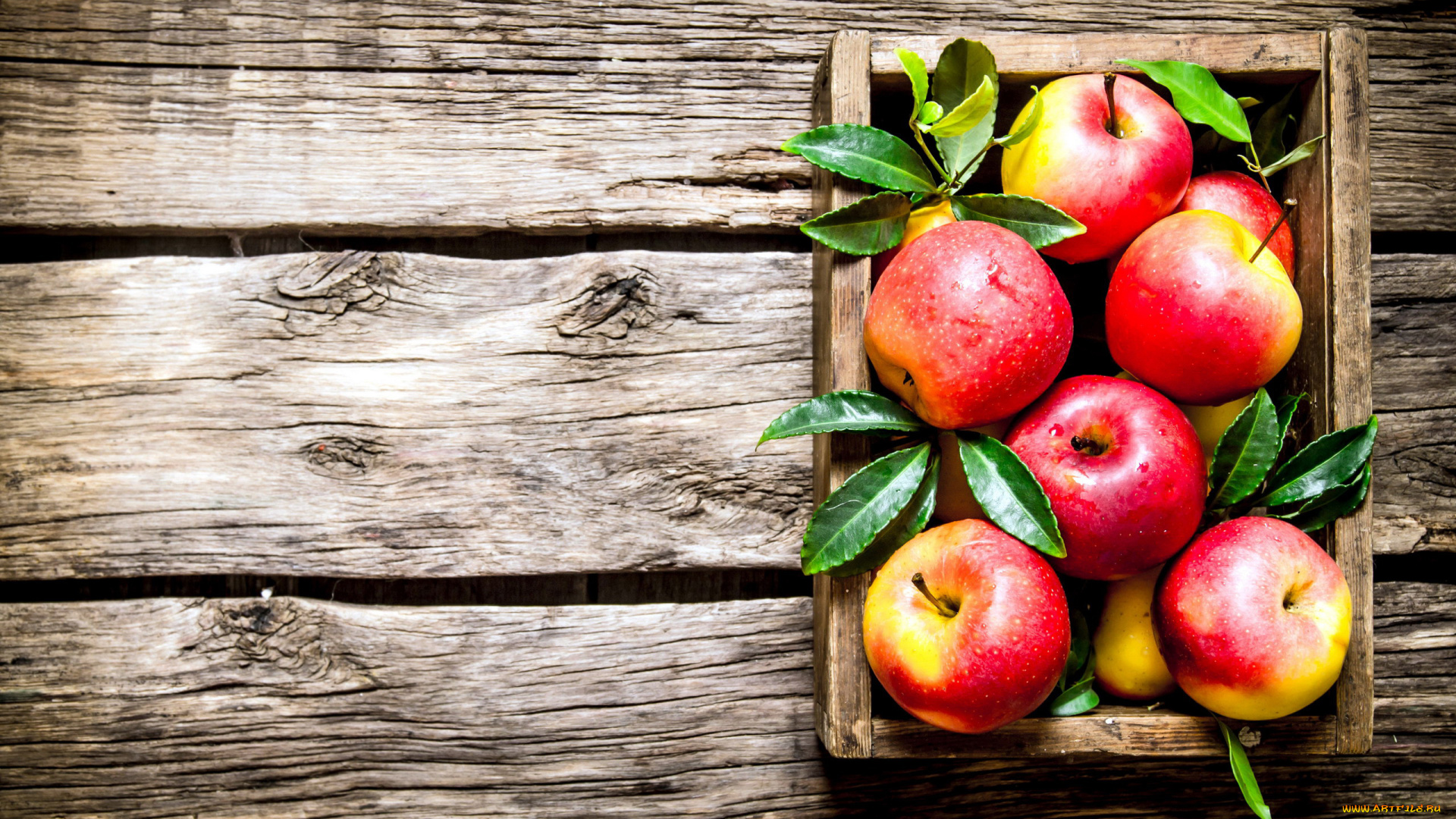 еда, Яблоки, румяные