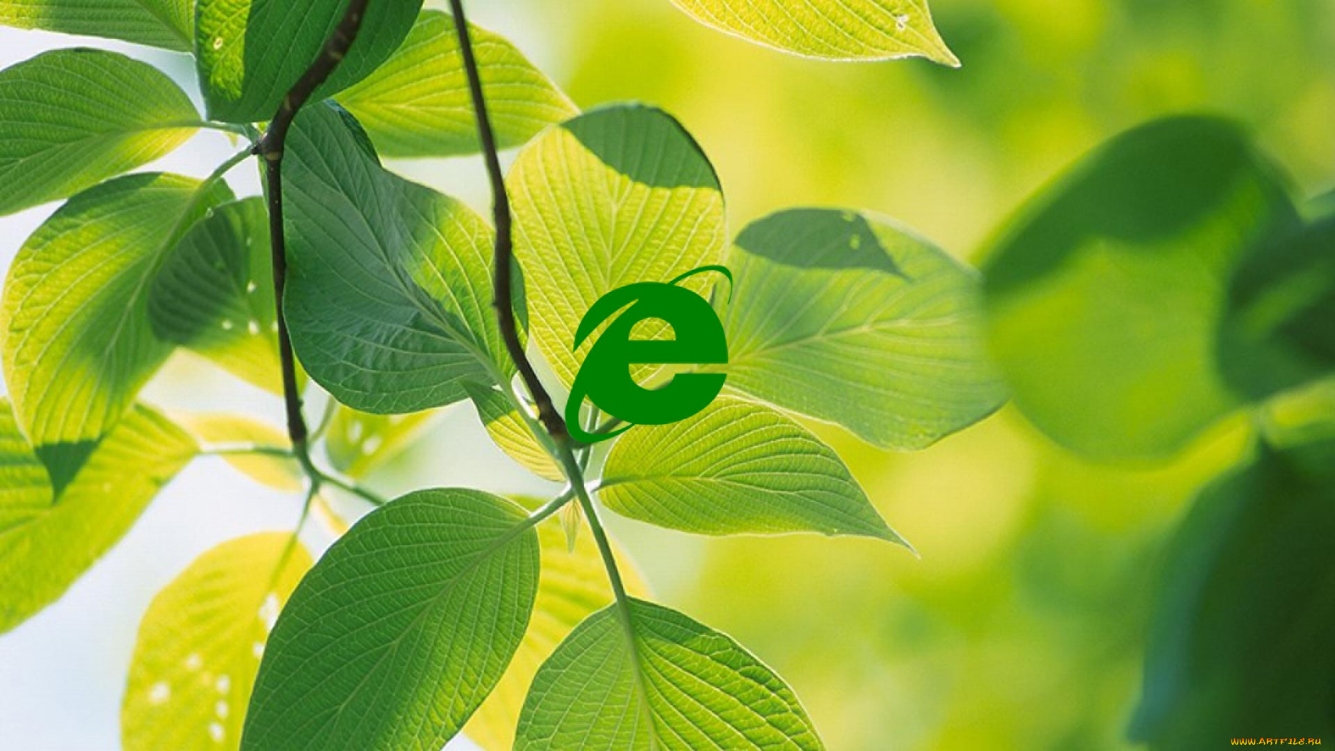 компьютеры, internet, explorer, фон, логотип