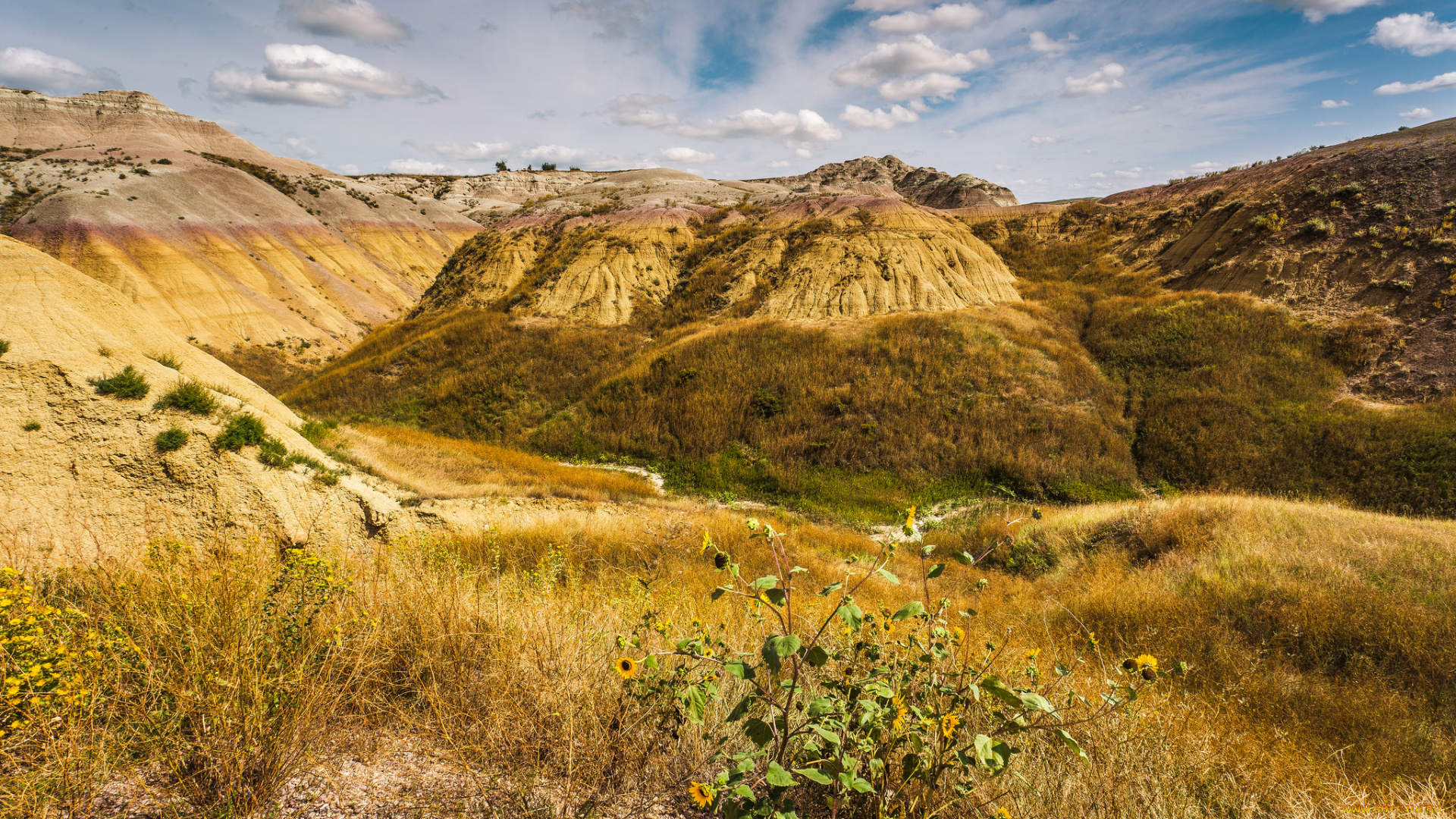 природа, пейзажи, простор