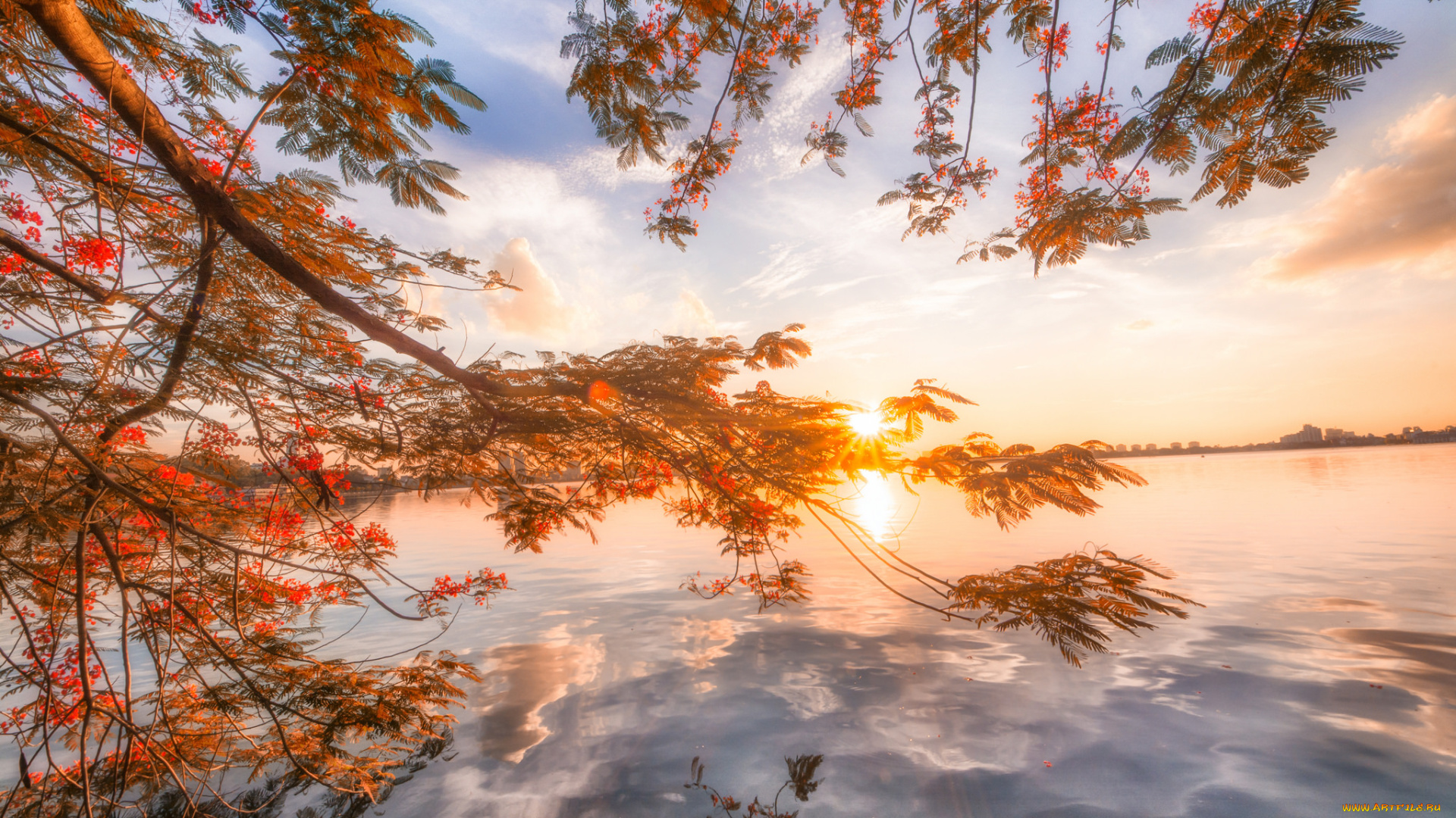 природа, реки, озера, лес, река