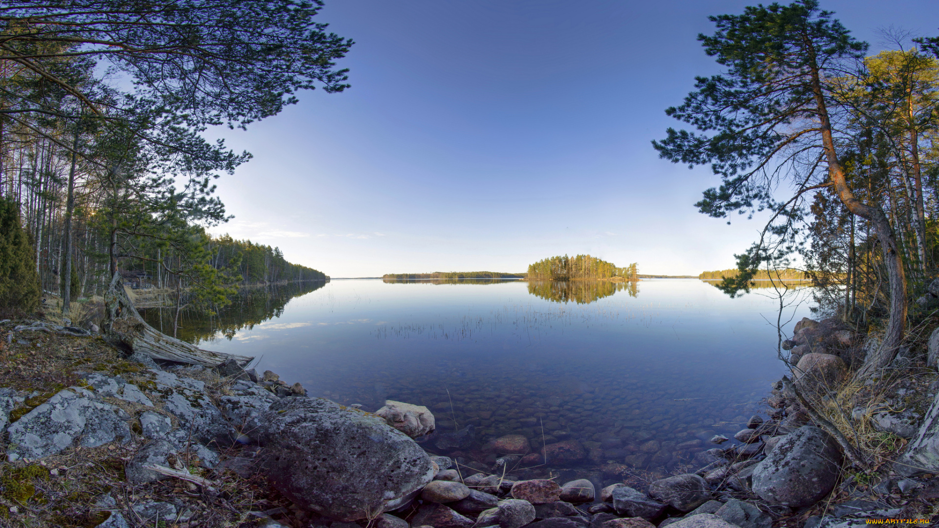 природа, реки, озера, лес, река