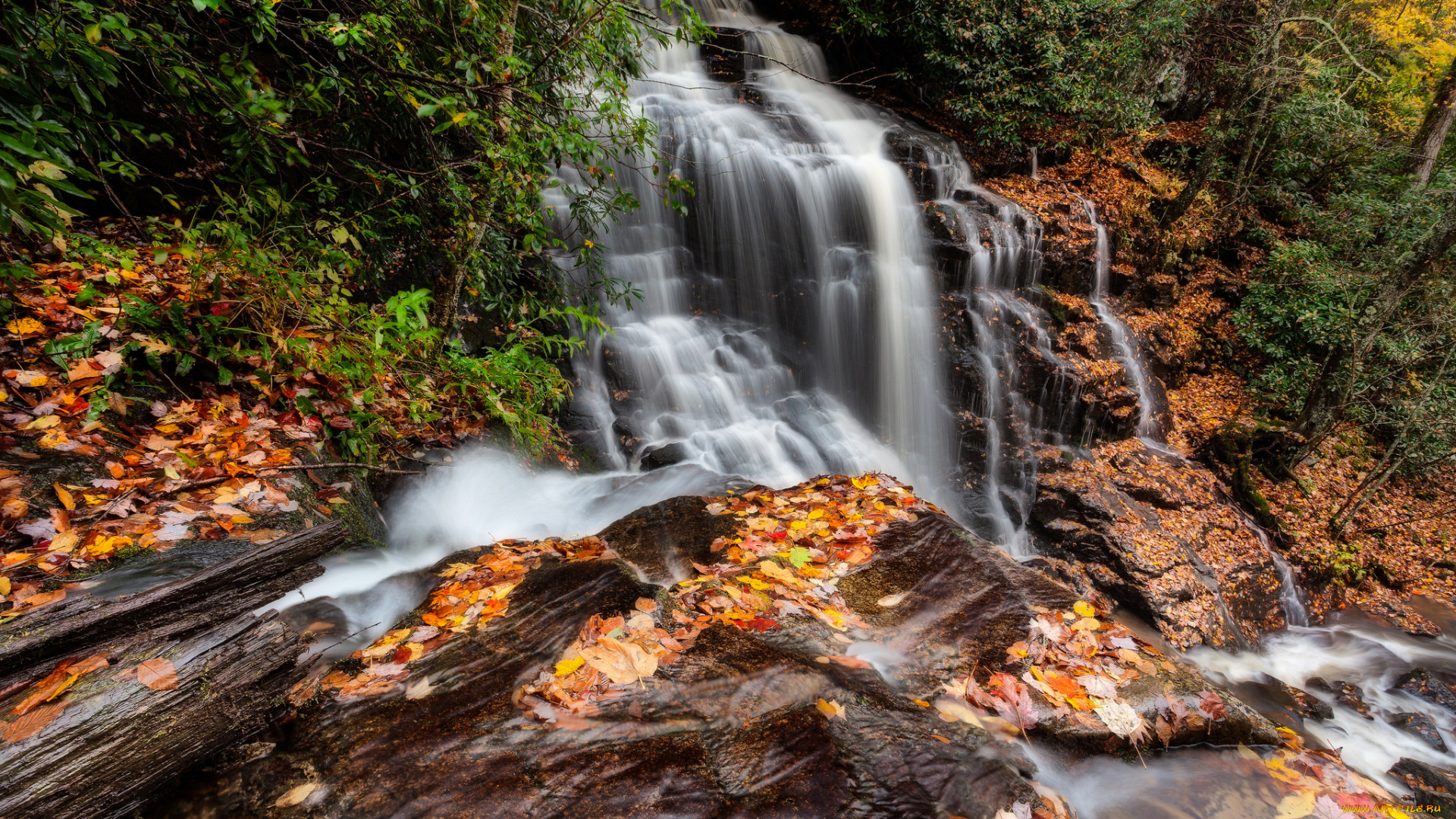природа, водопады, лес, водопад, река
