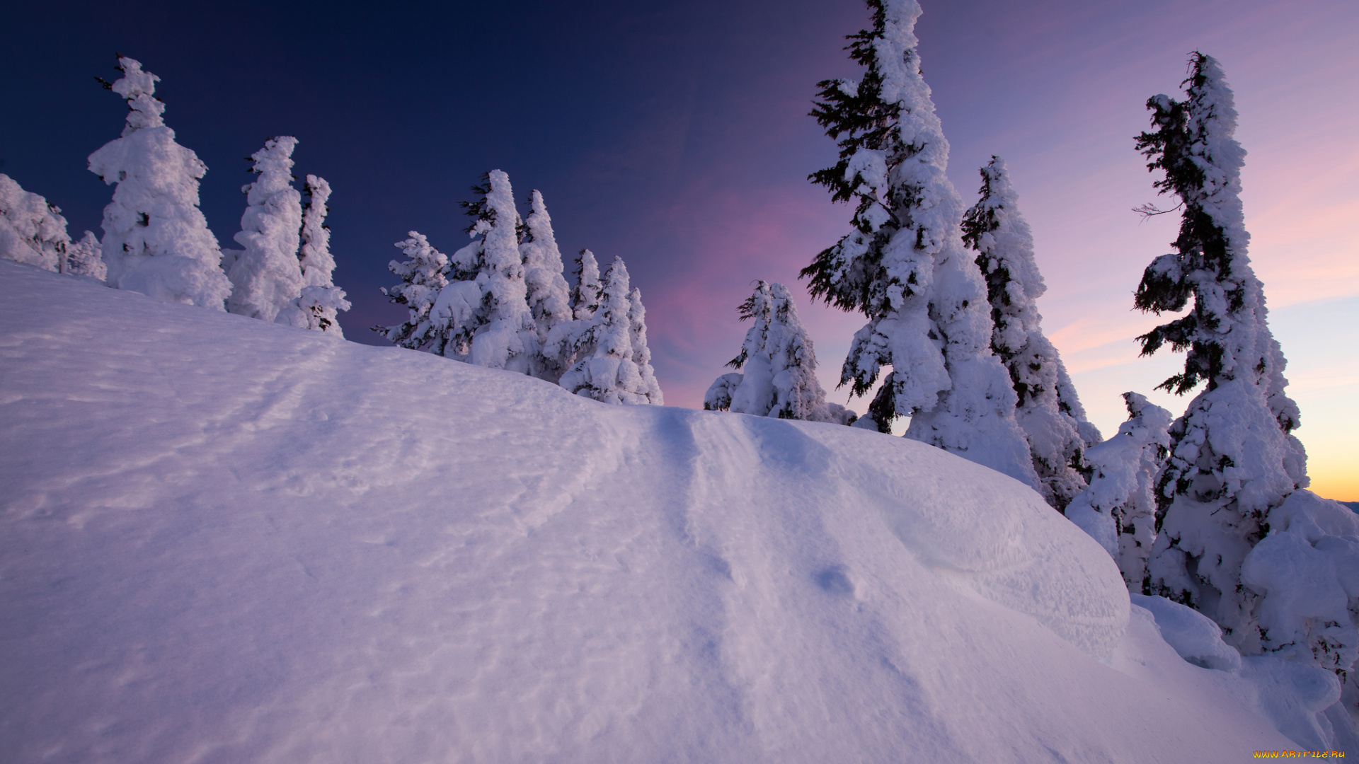 природа, зима, снег