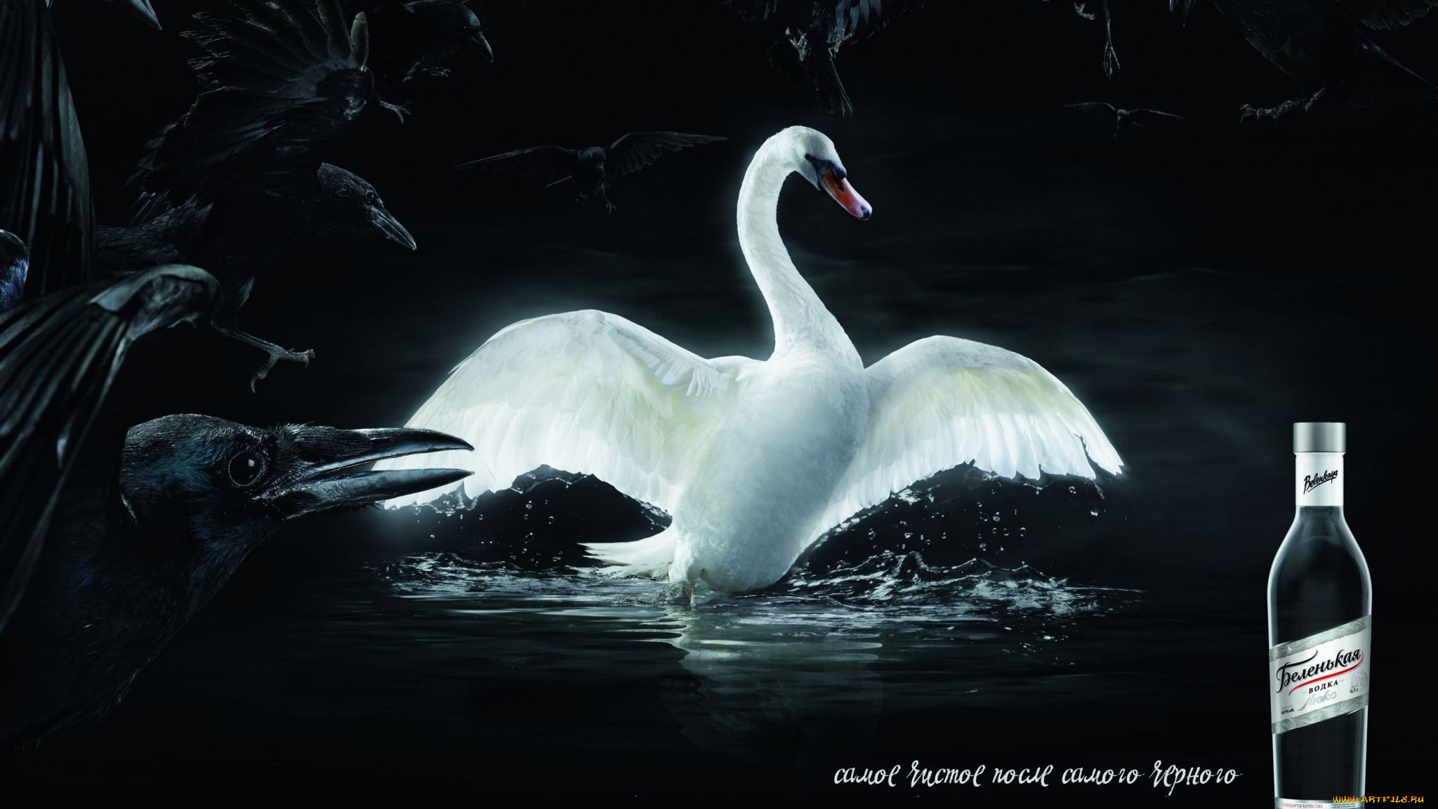 бренды, бренды, напитков, , разное, лебедь