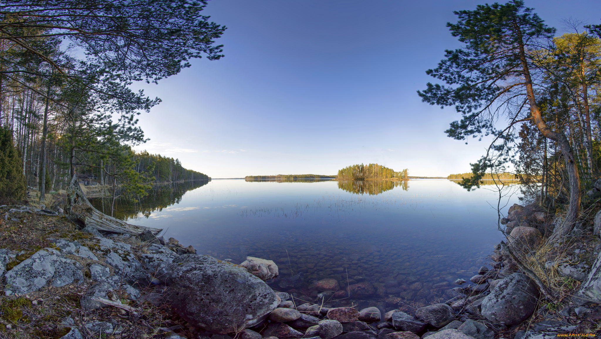 природа, реки, озера, лес, река