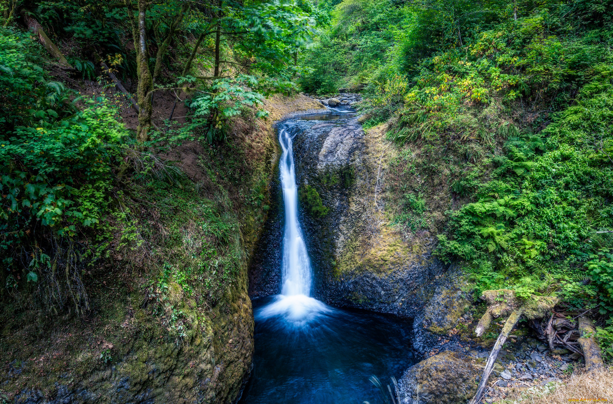 природа, водопады, водопад, река, лес