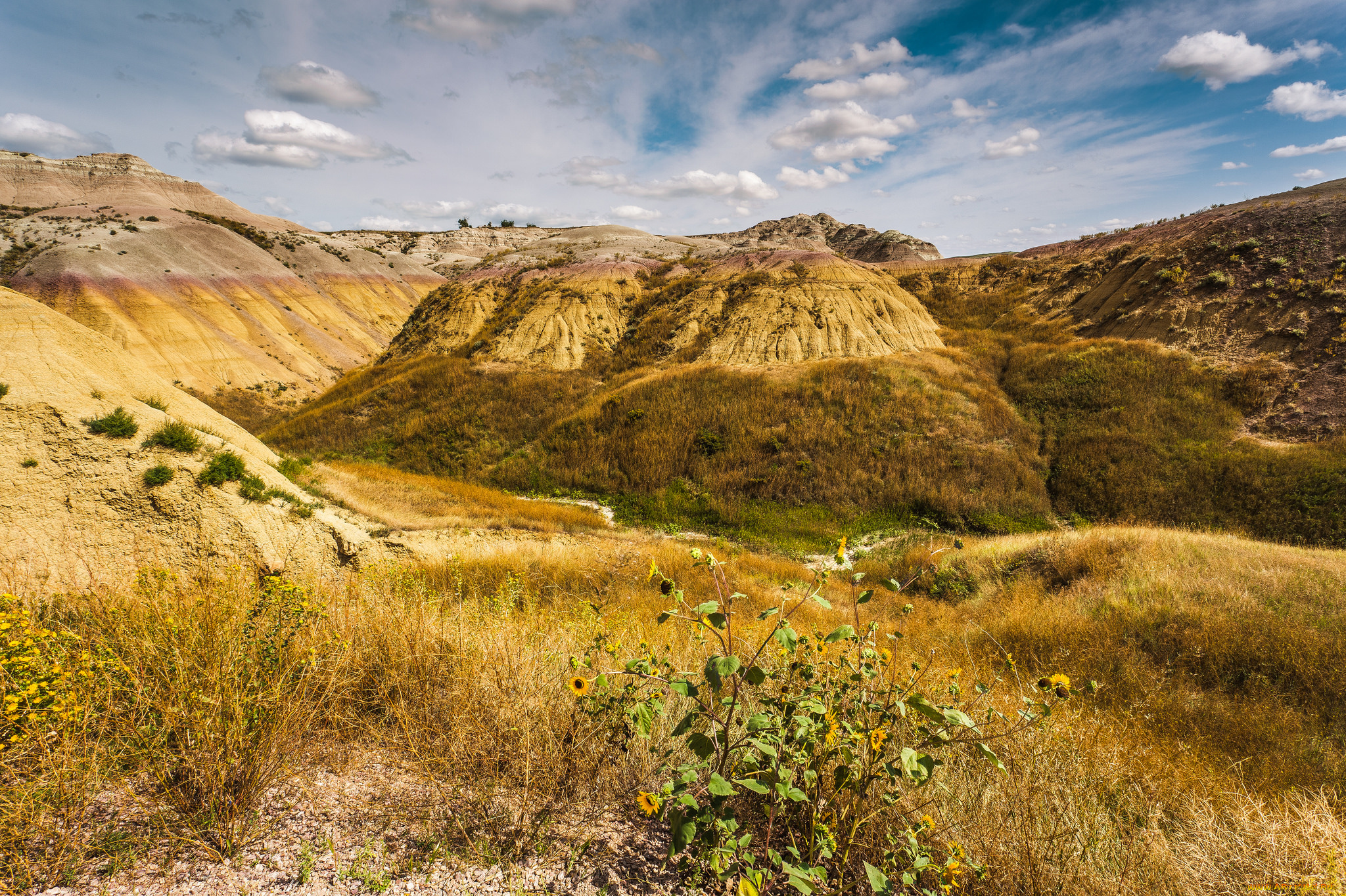 природа, пейзажи, простор