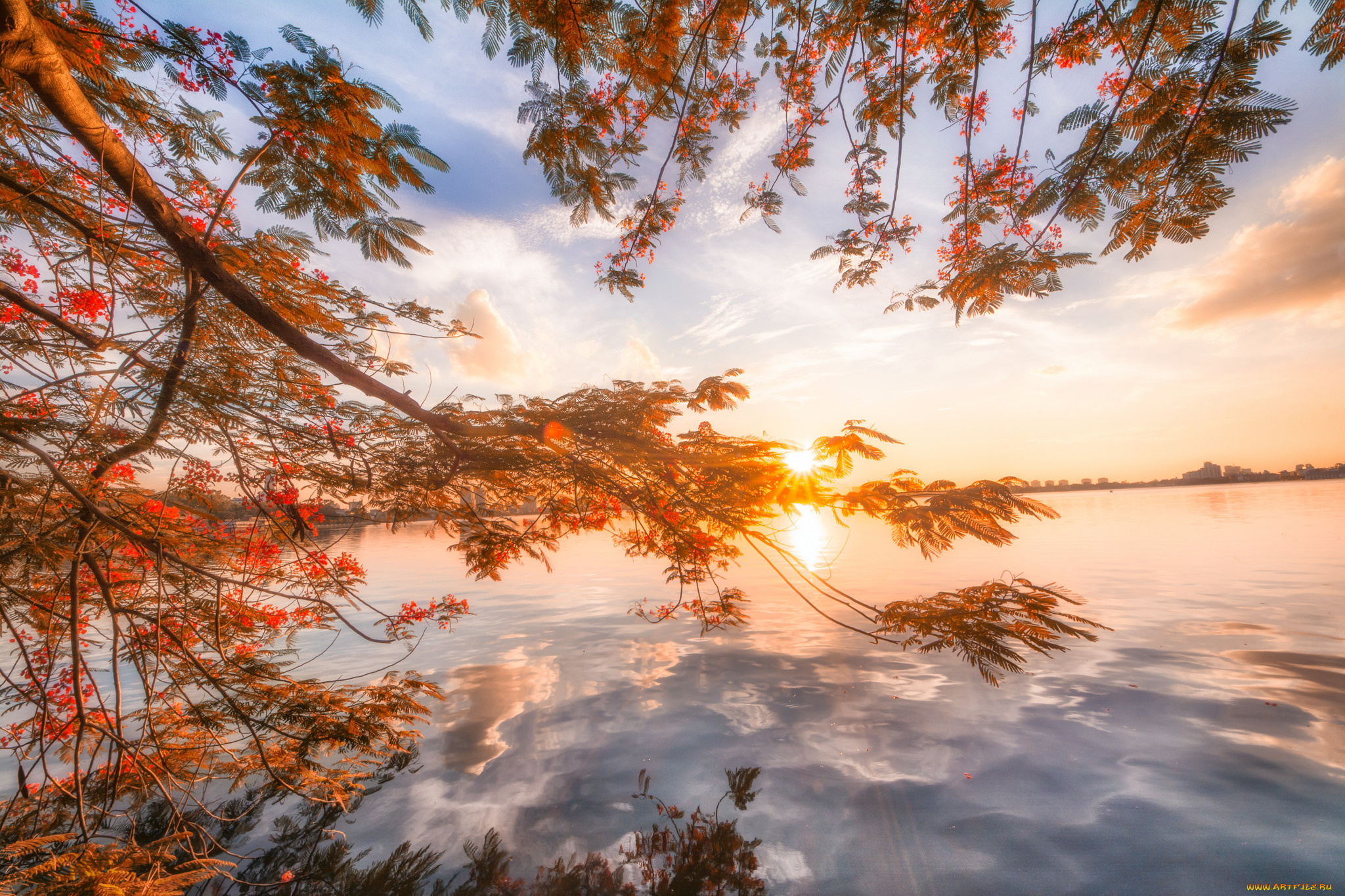 природа, реки, озера, лес, река