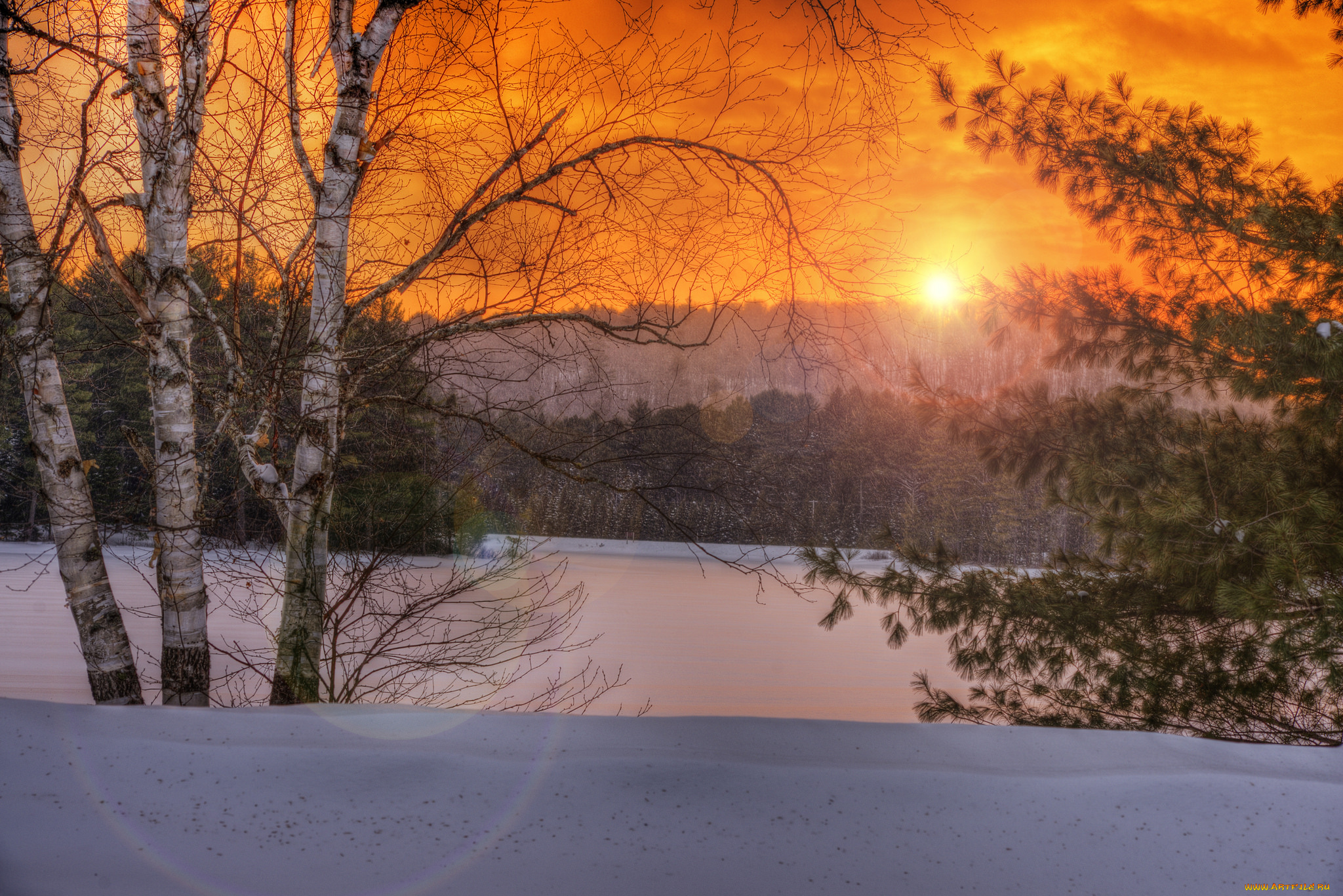 природа, зима, снег