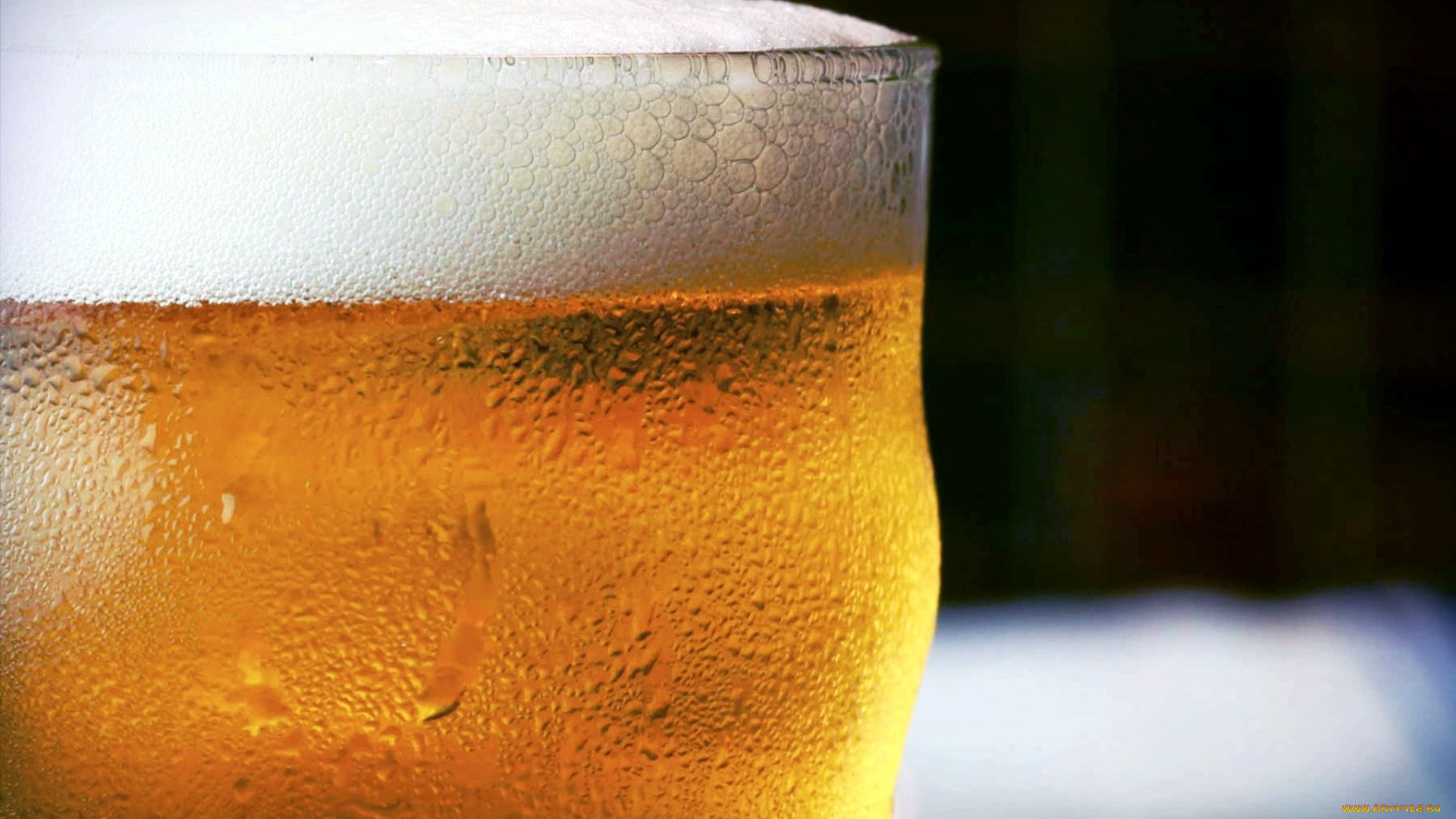 еда, напитки, , пиво, бокал, пиво, пена