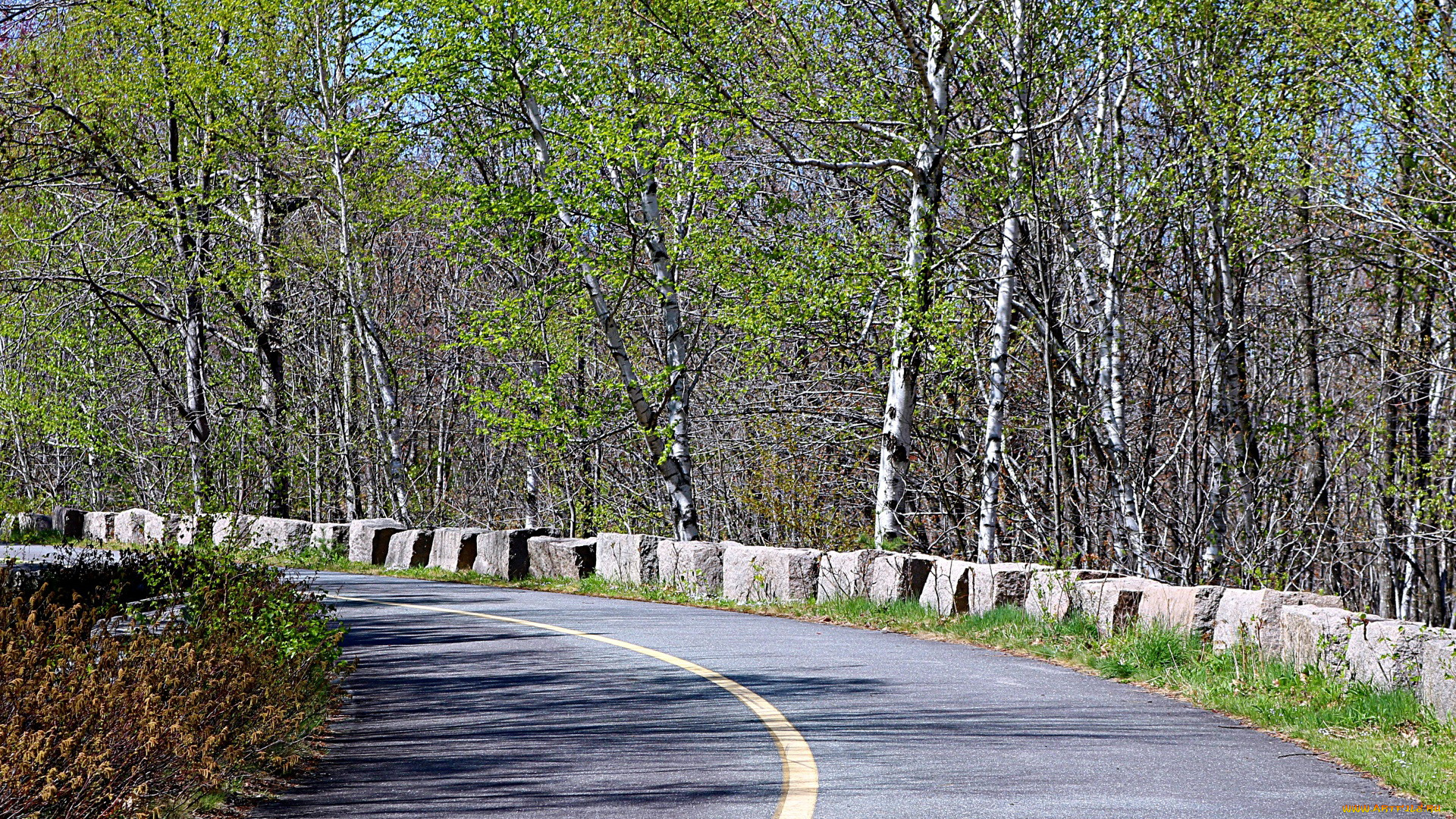 природа, дороги, дорога, шоссе