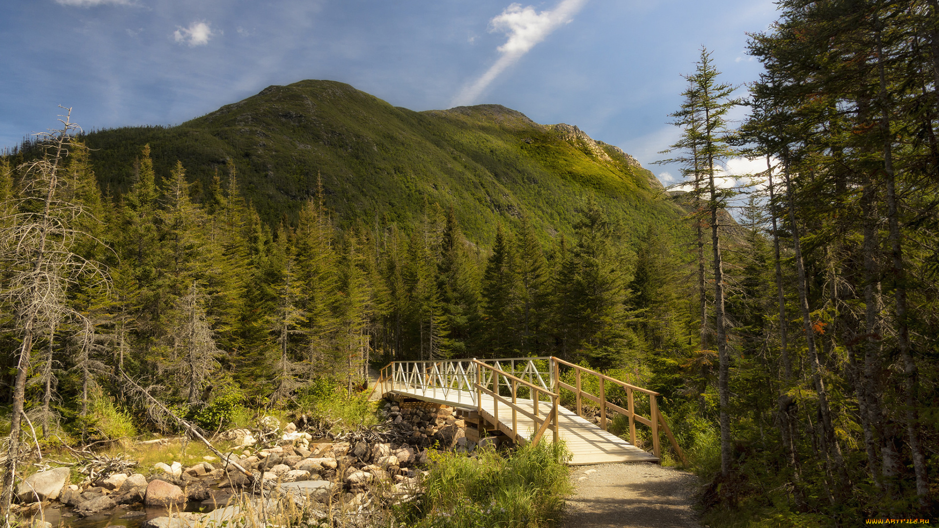 природа, дороги, простор