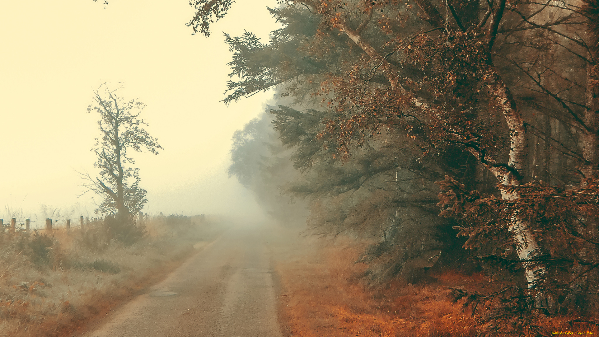 природа, дороги, простор