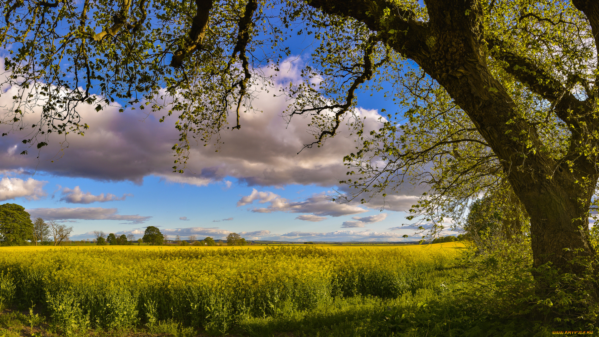 природа, пейзажи, простор