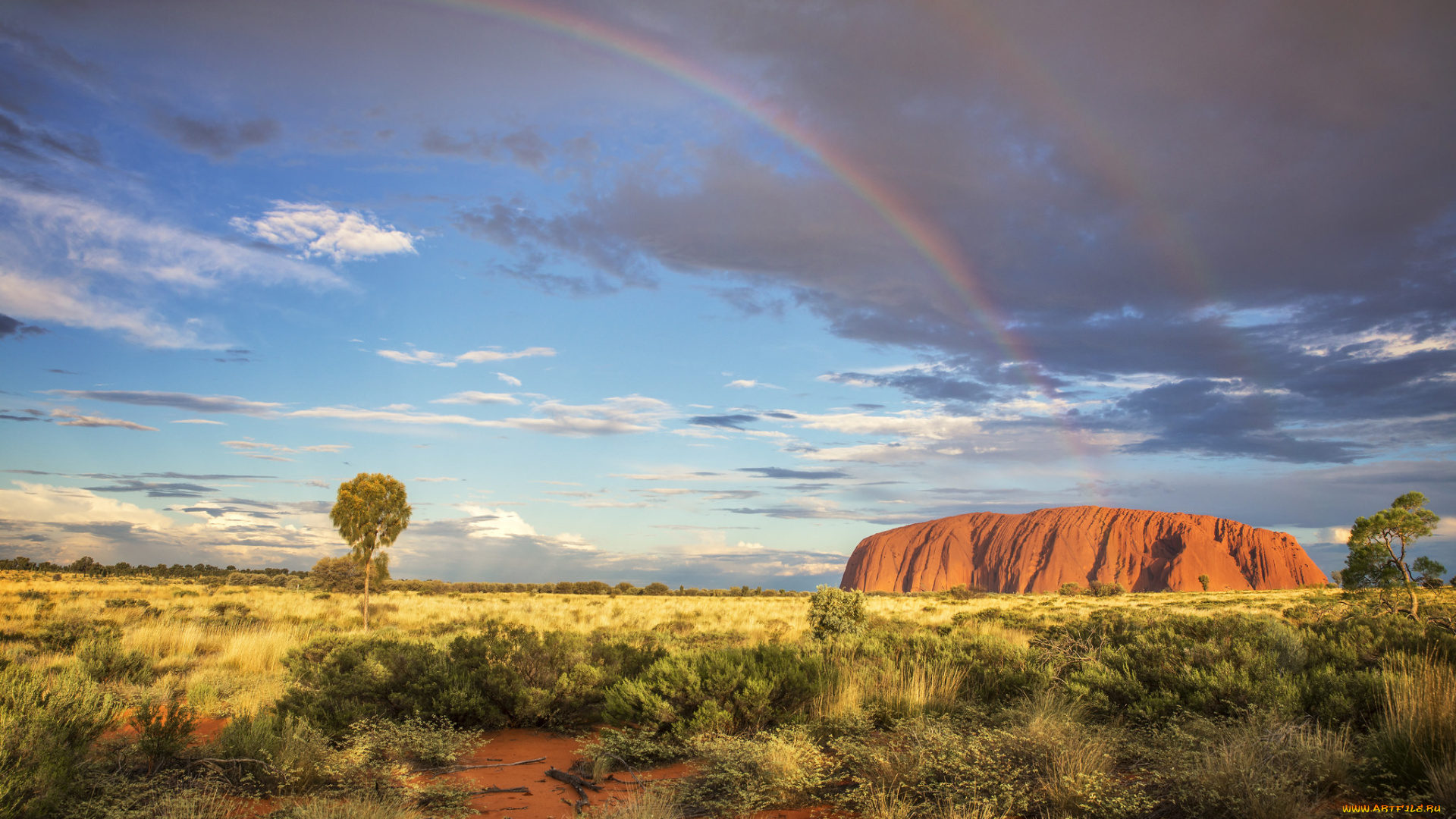 природа, пустыни, простор