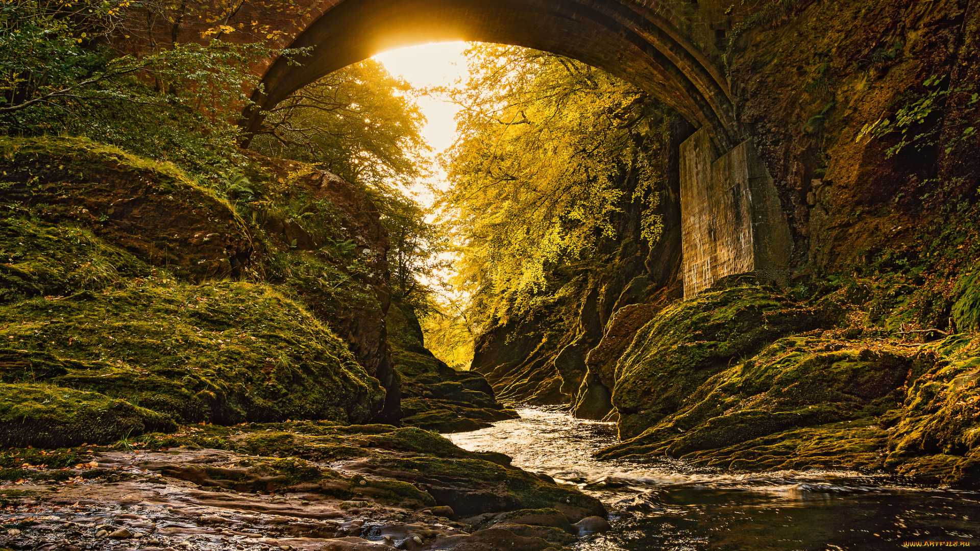 природа, реки, озера, простор