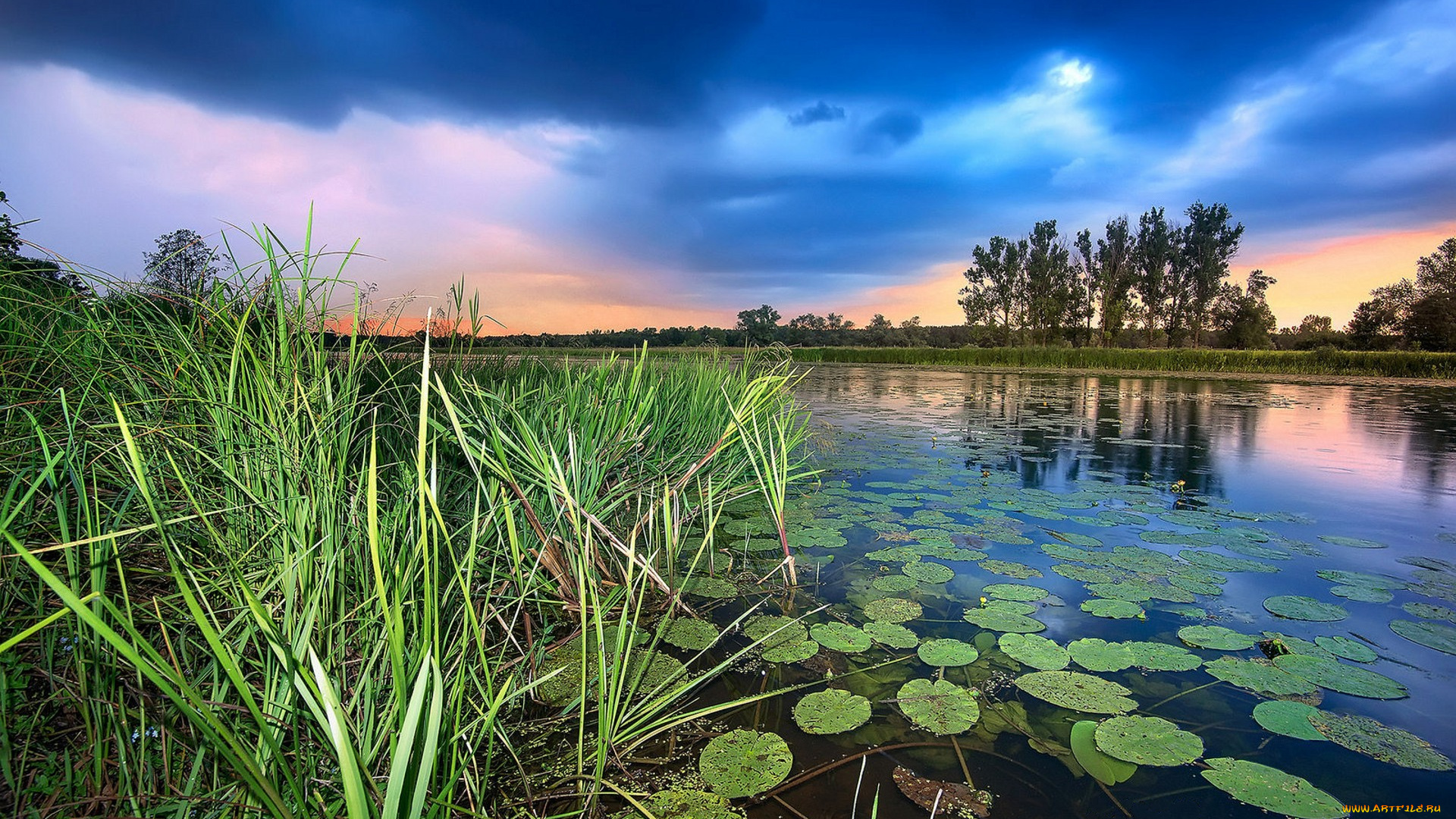 природа, реки, озера, простор