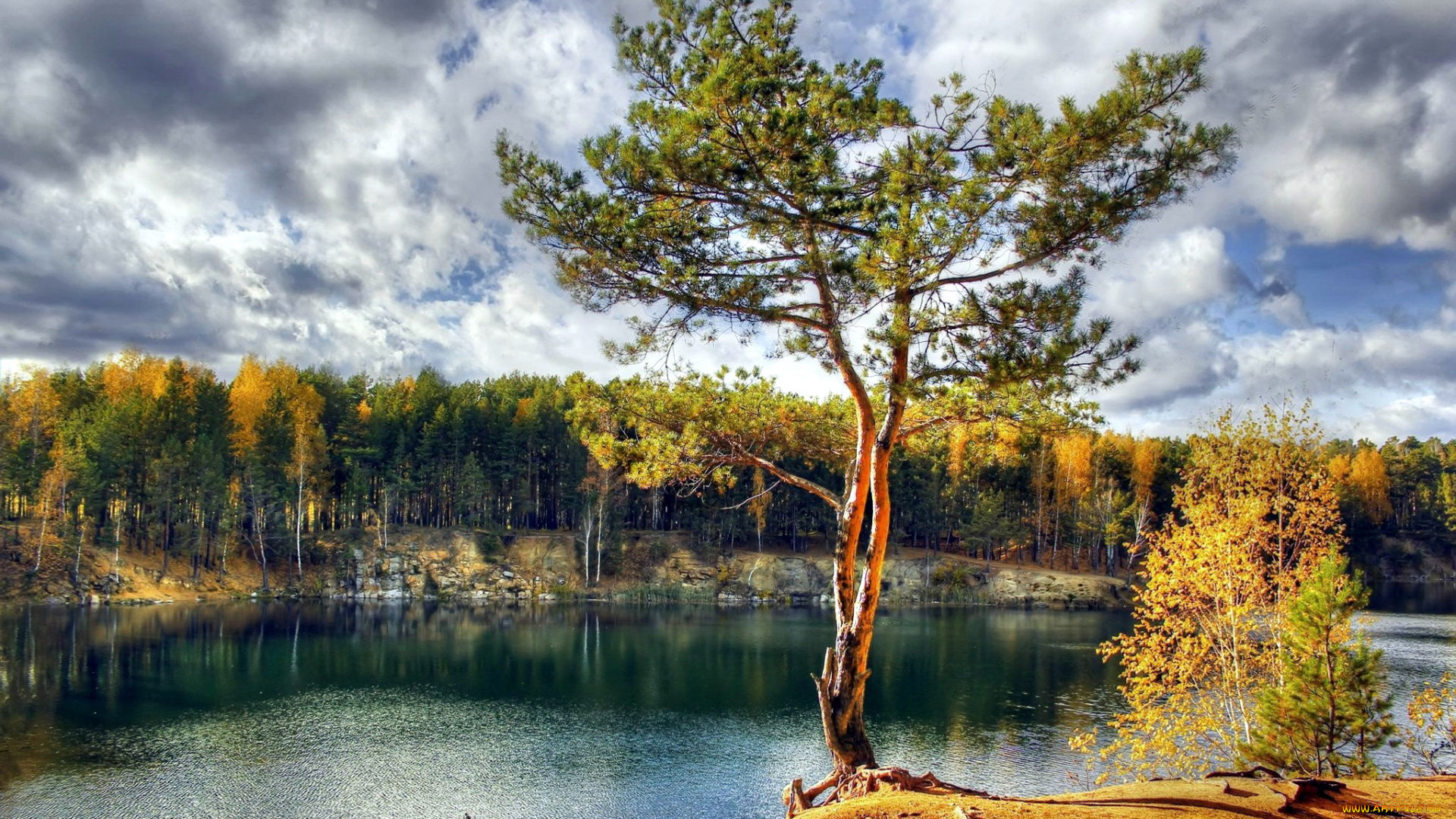 природа, реки, озера, река, осень