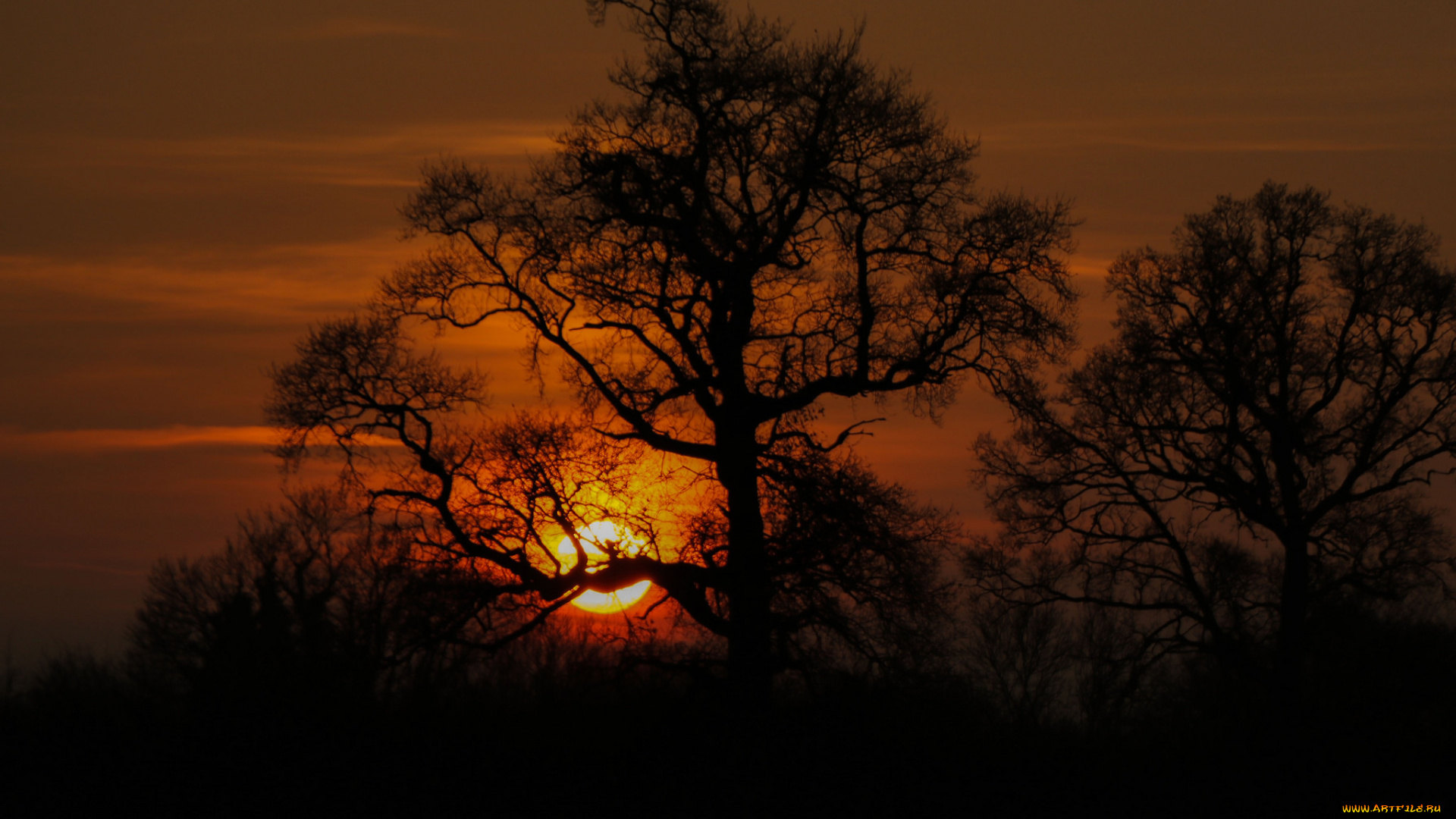 природа, восходы, закаты, простор