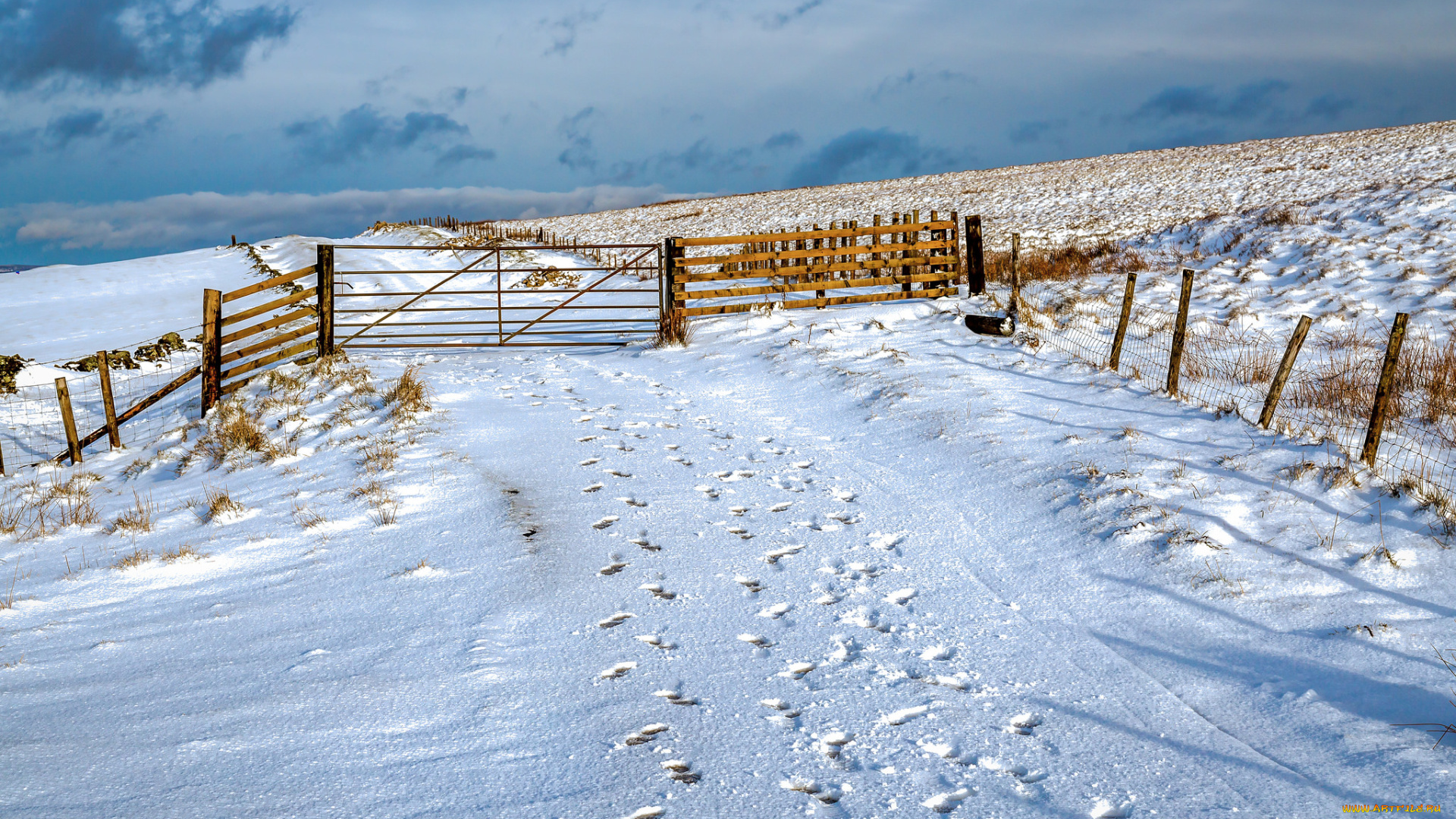 природа, зима, простор