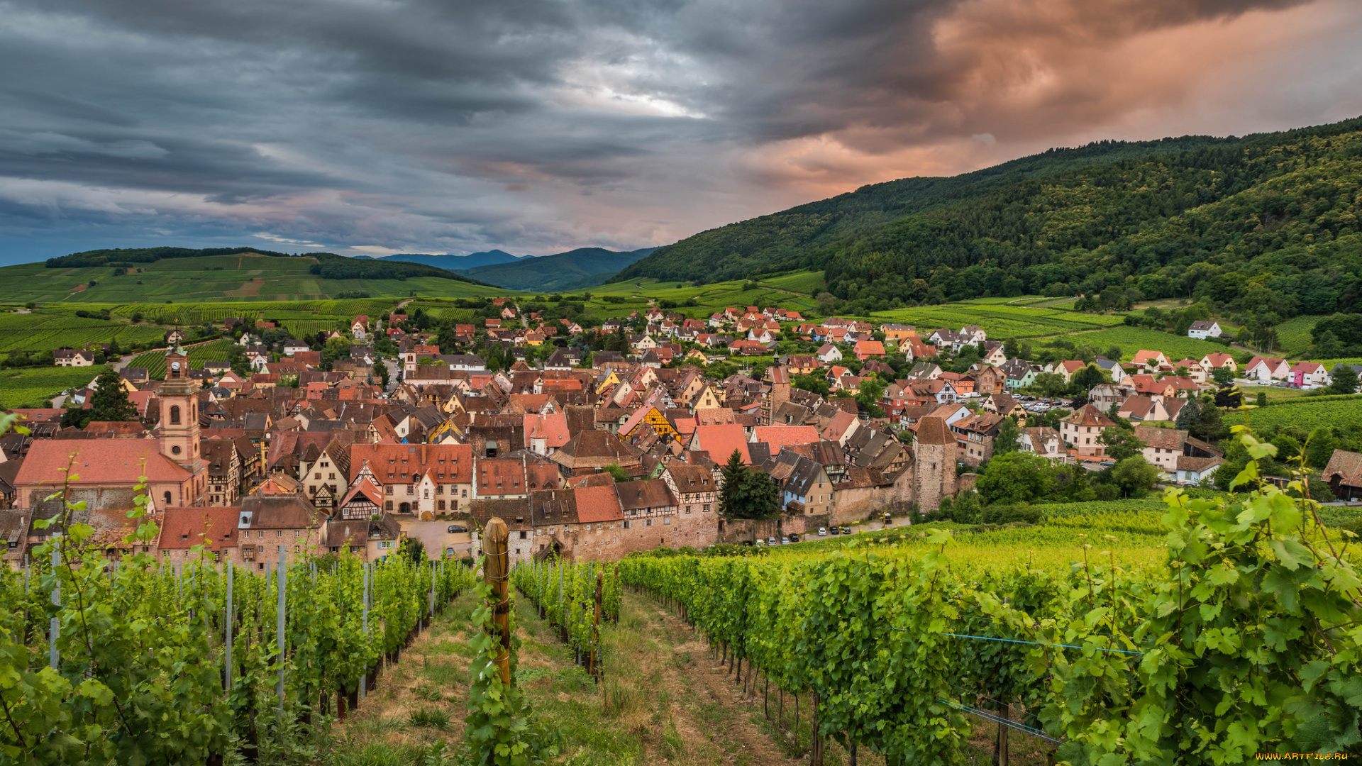 riquewihr, города, -, панорамы, простор