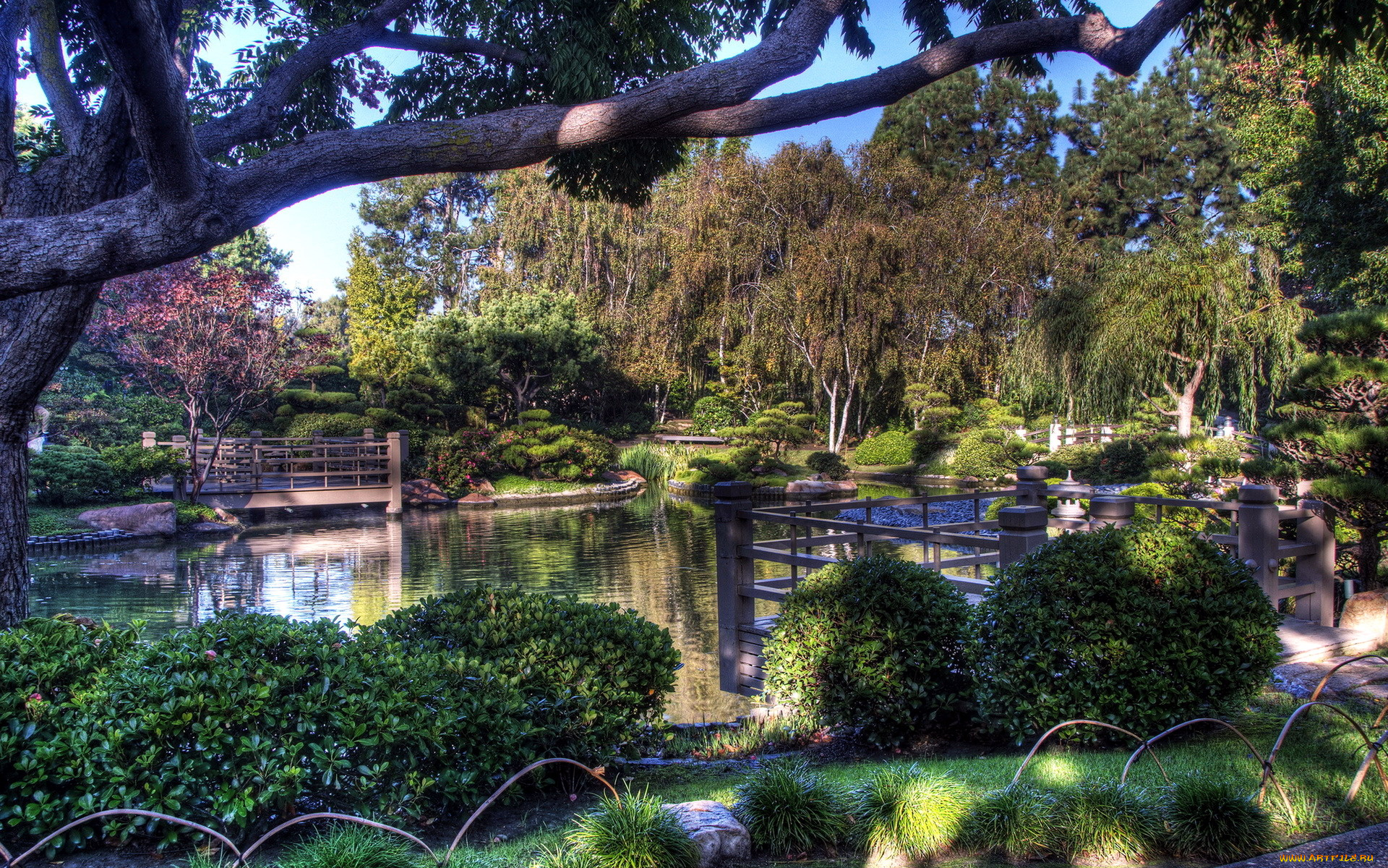 природа, парк, водоем, мостик, японский, садик