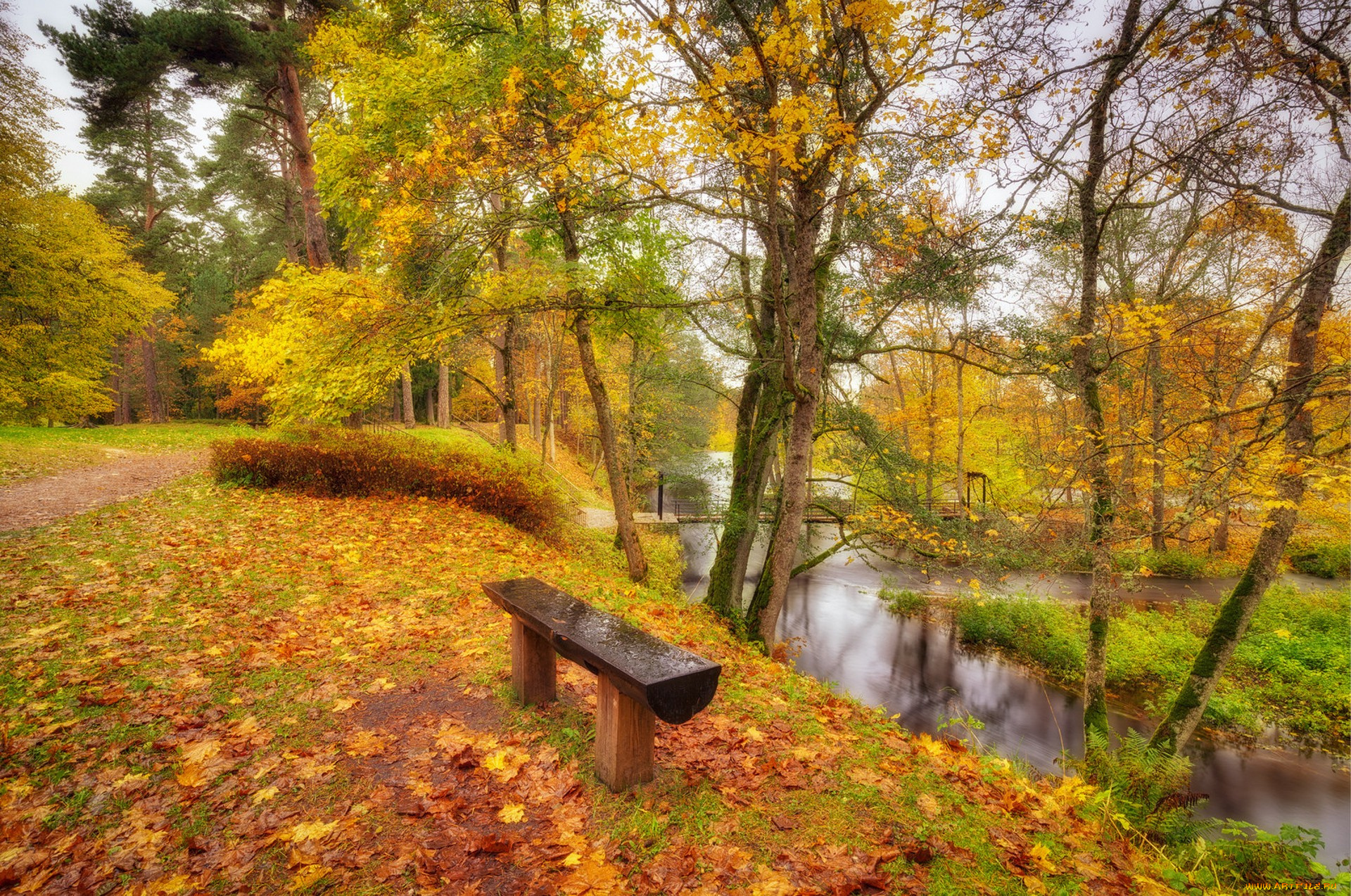 природа, реки, озера, простор