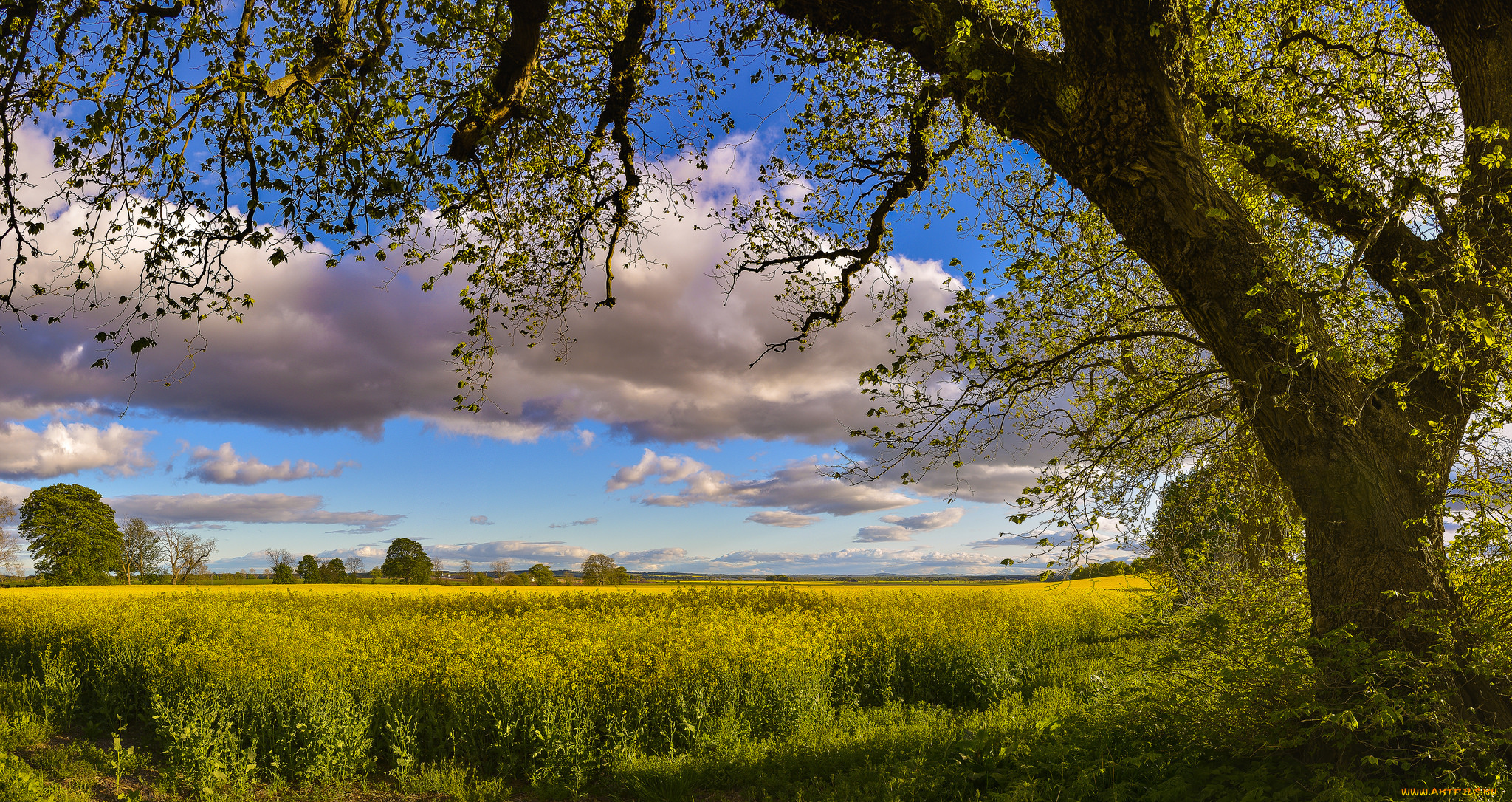 природа, пейзажи, простор