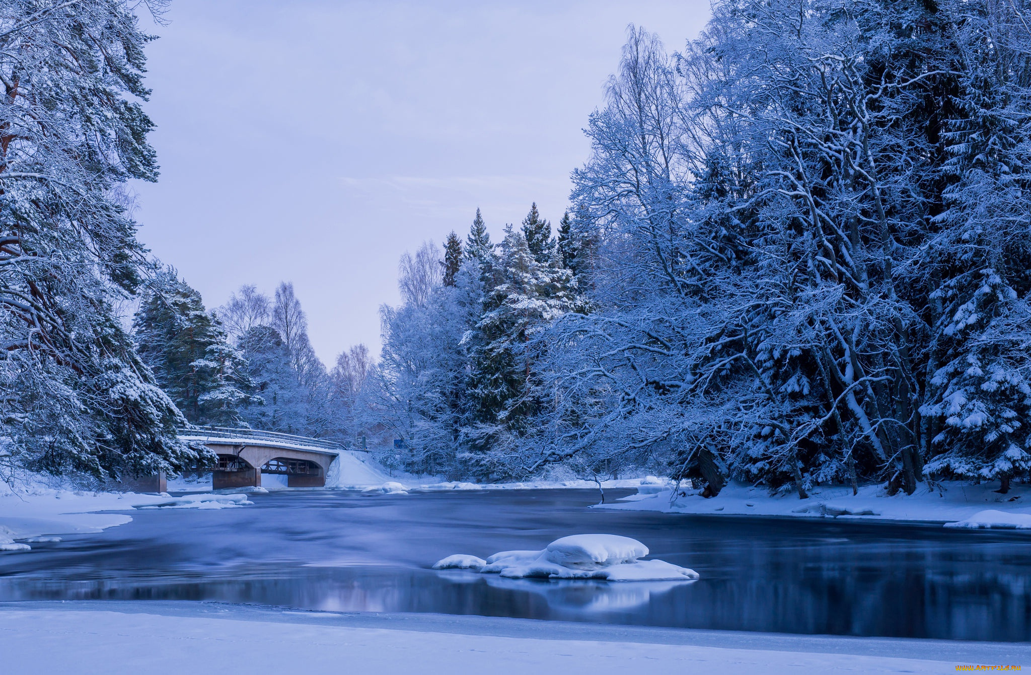 природа, реки, озера, деревья, вода, пруд, пейзаж, парк, зима, мостик, снег