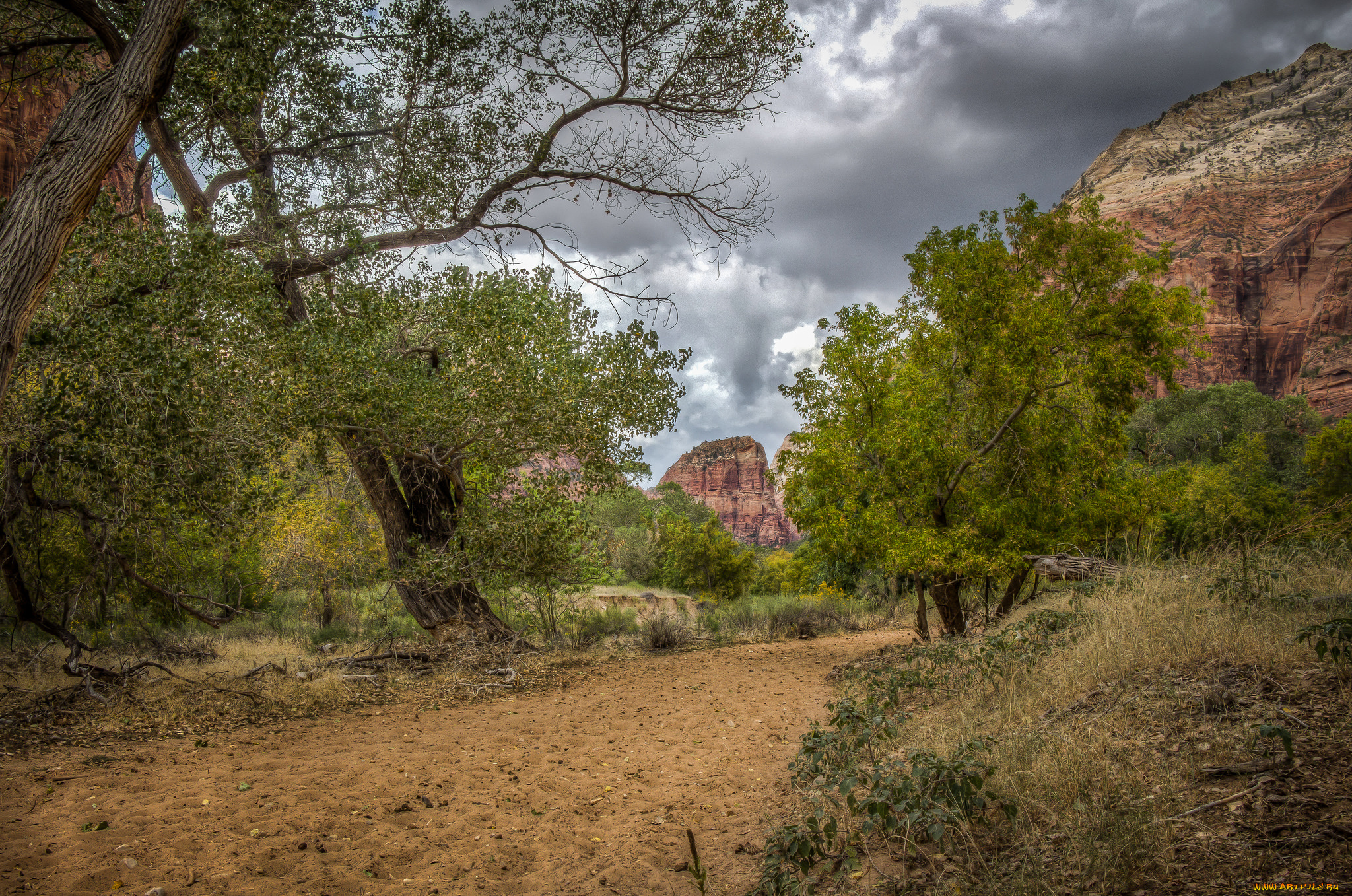 природа, дороги, простор