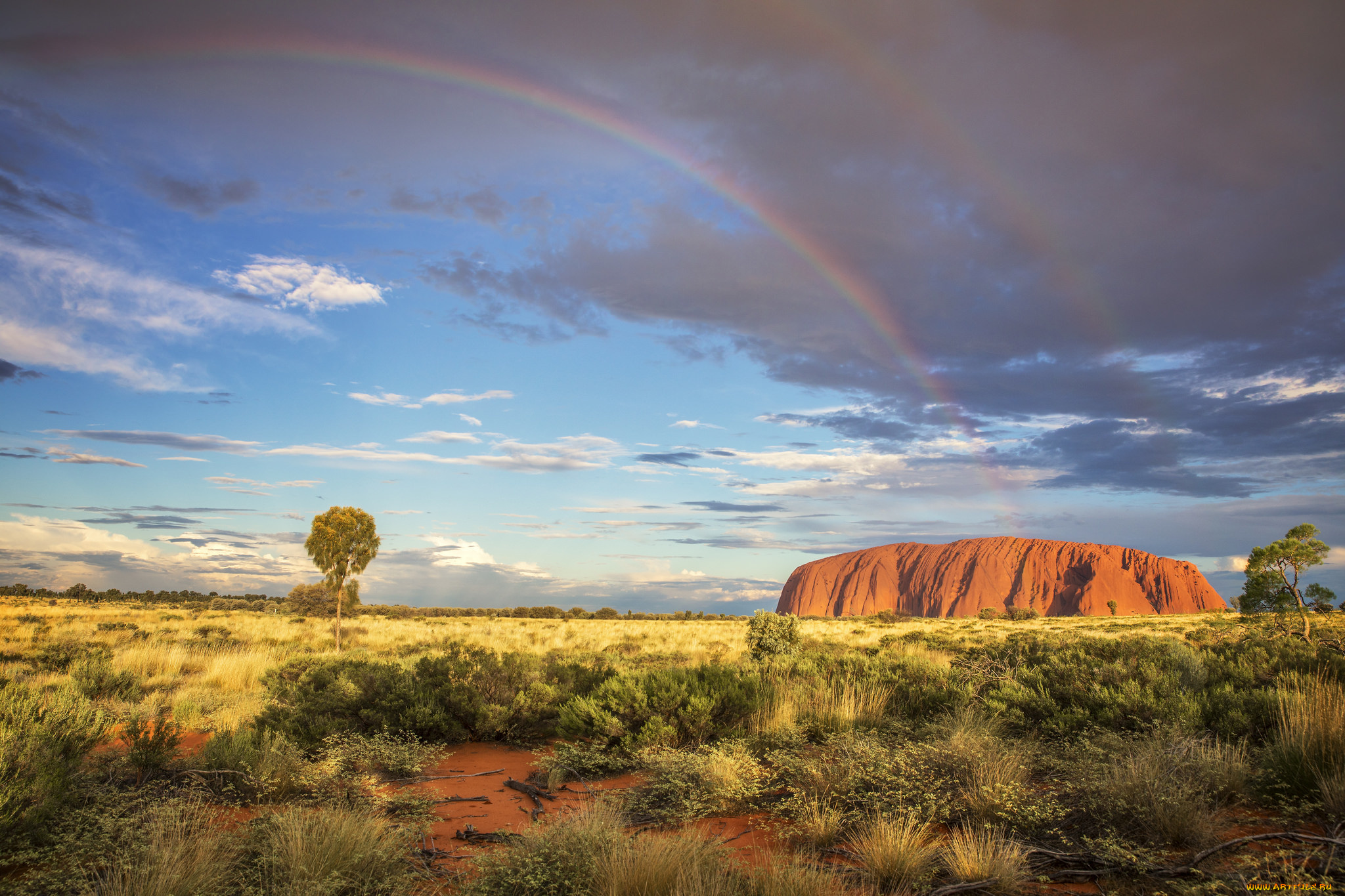 природа, пустыни, простор