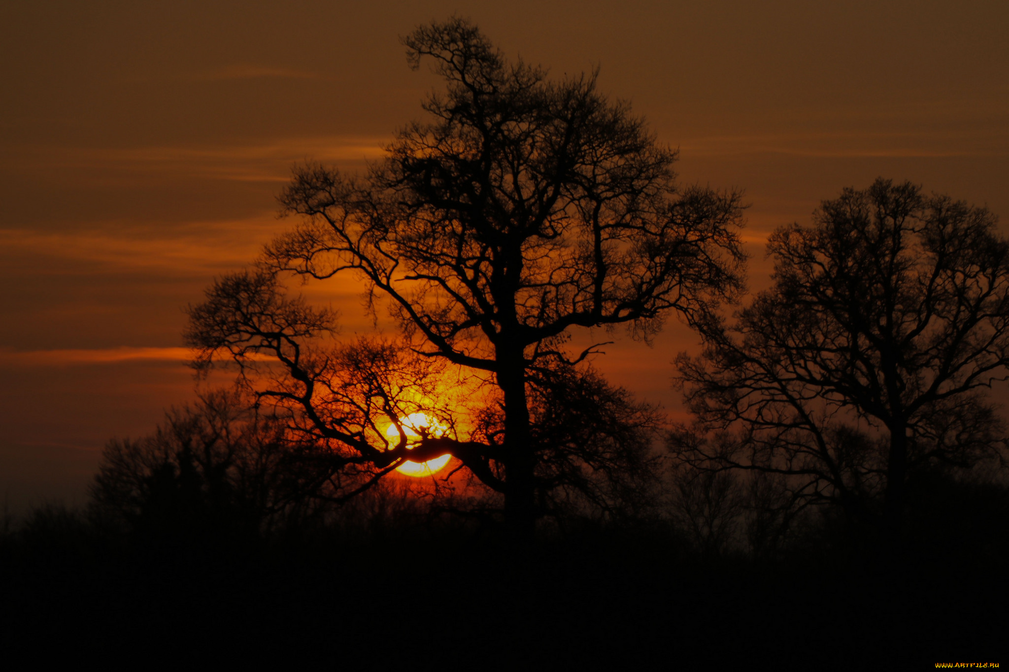 природа, восходы, закаты, простор