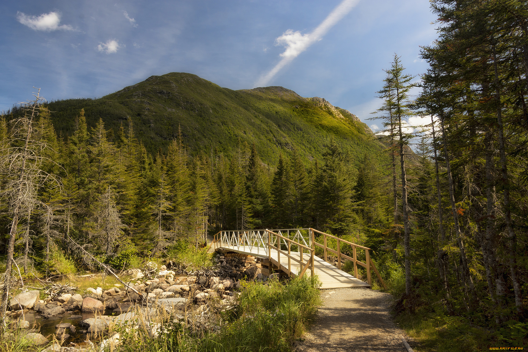 природа, дороги, простор