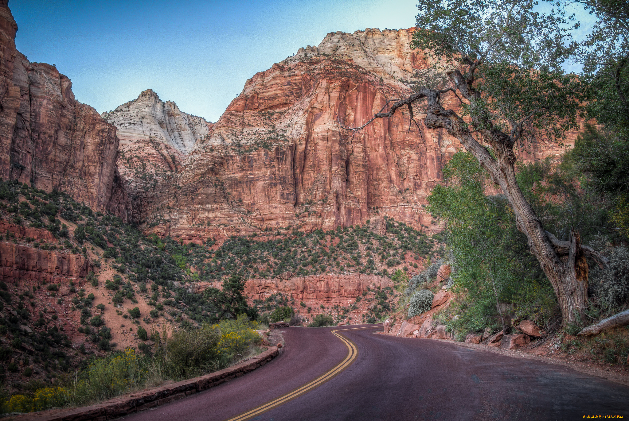 природа, дороги, простор