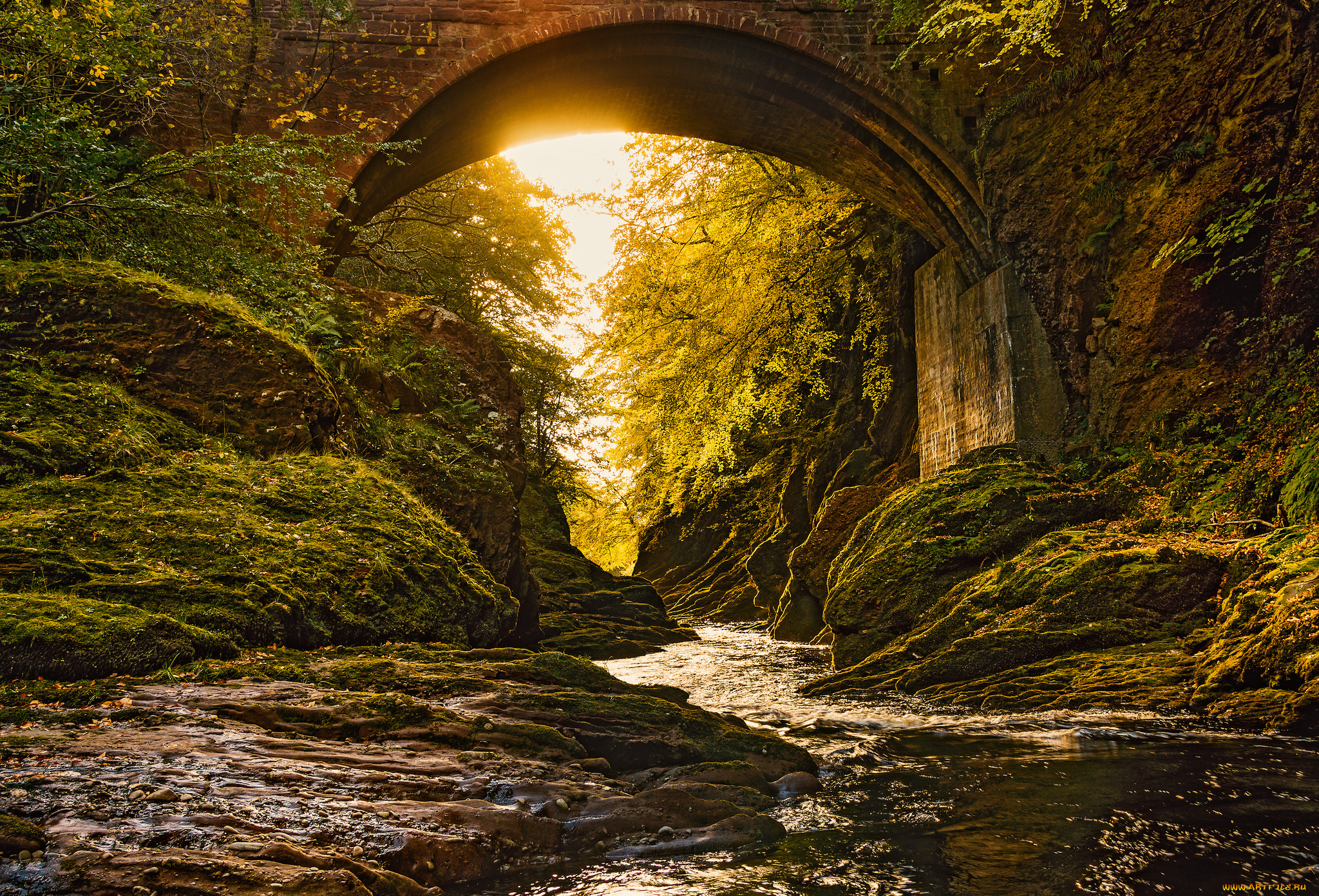 природа, реки, озера, простор