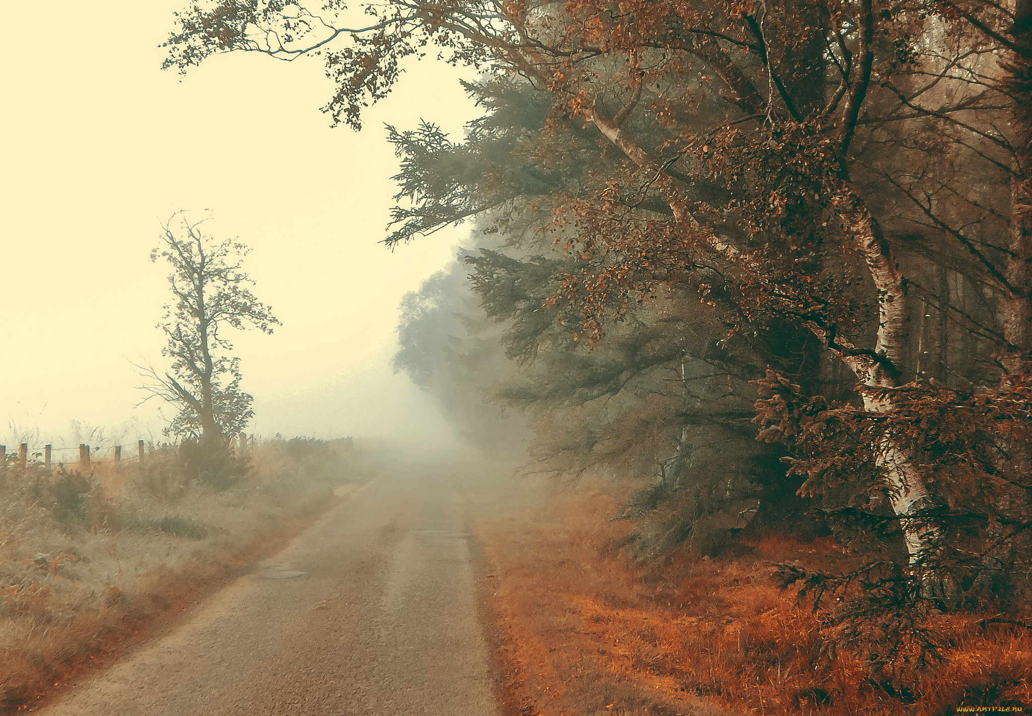 природа, дороги, простор