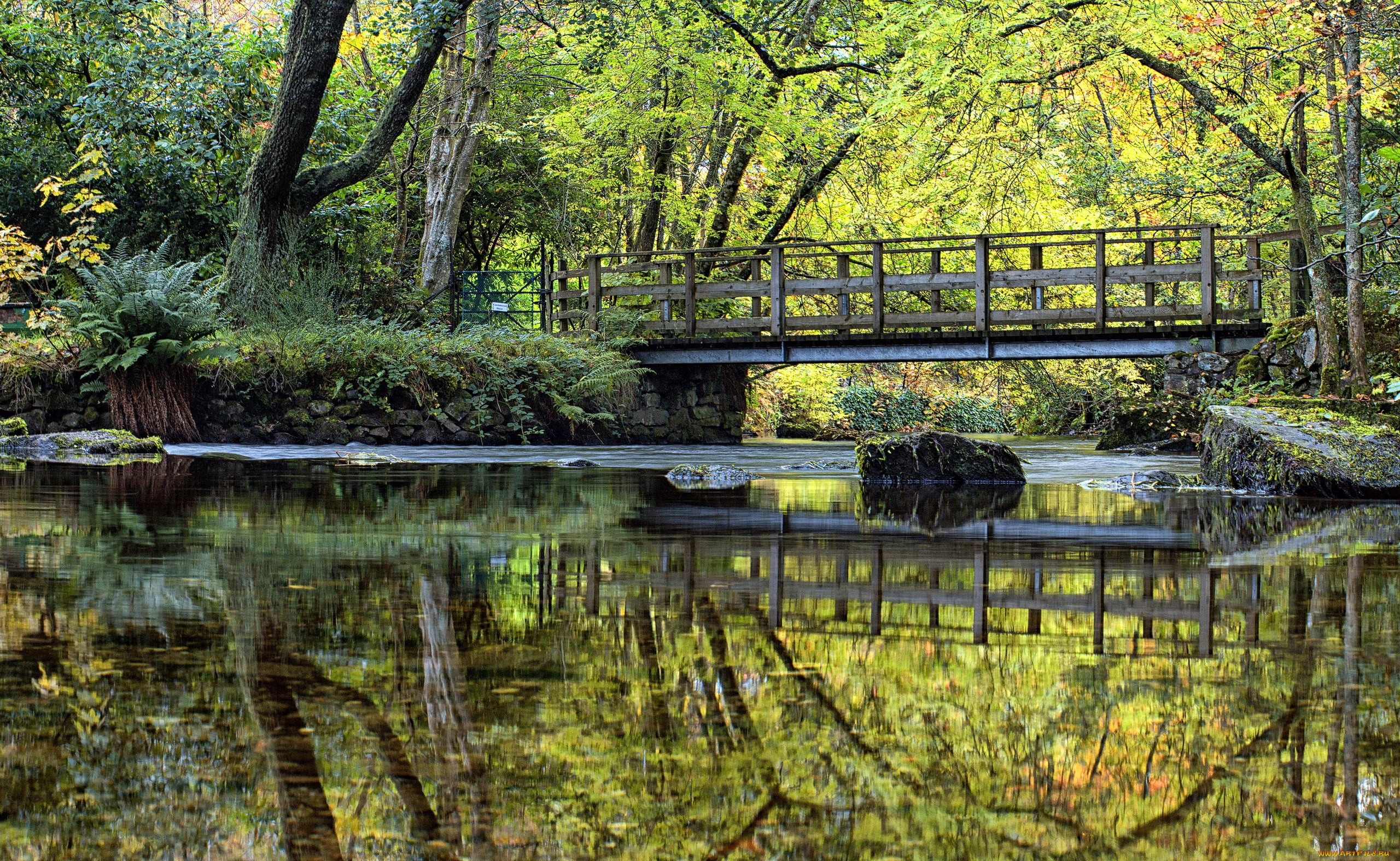 природа, парк, водоем, мостик, японский, садик