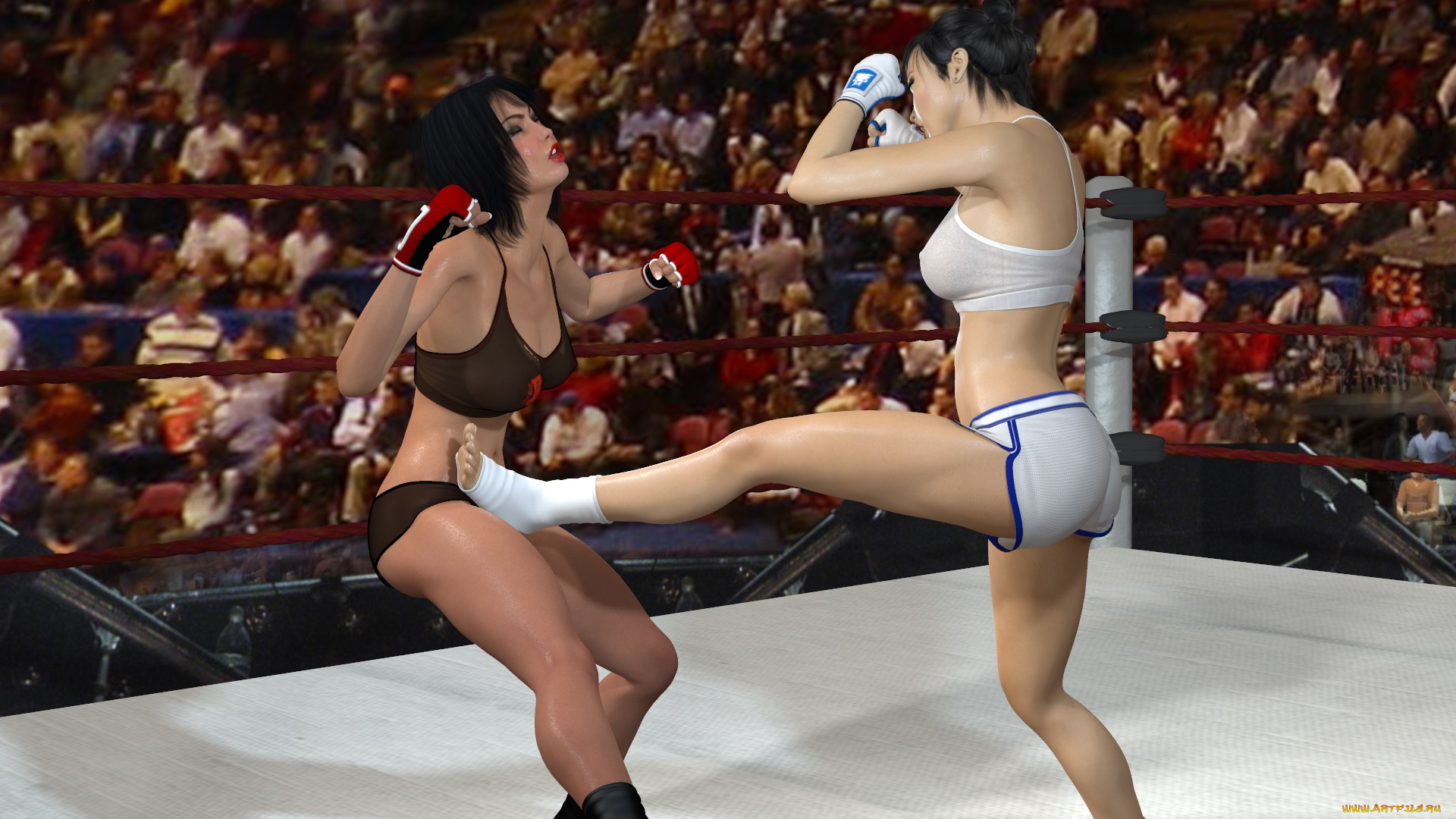 3д, графика, спорт, , sport, борьба, ринг, фон, взгляд, девушки