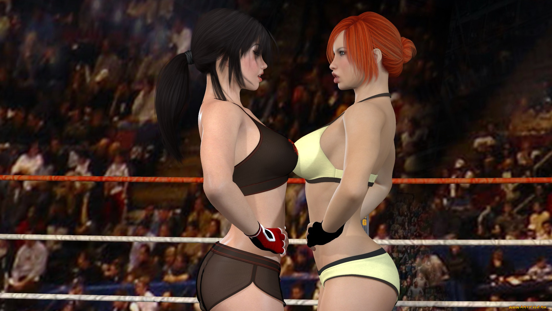 3д, графика, спорт, , sport, борьба, ринг, фон, взгляд, девушки