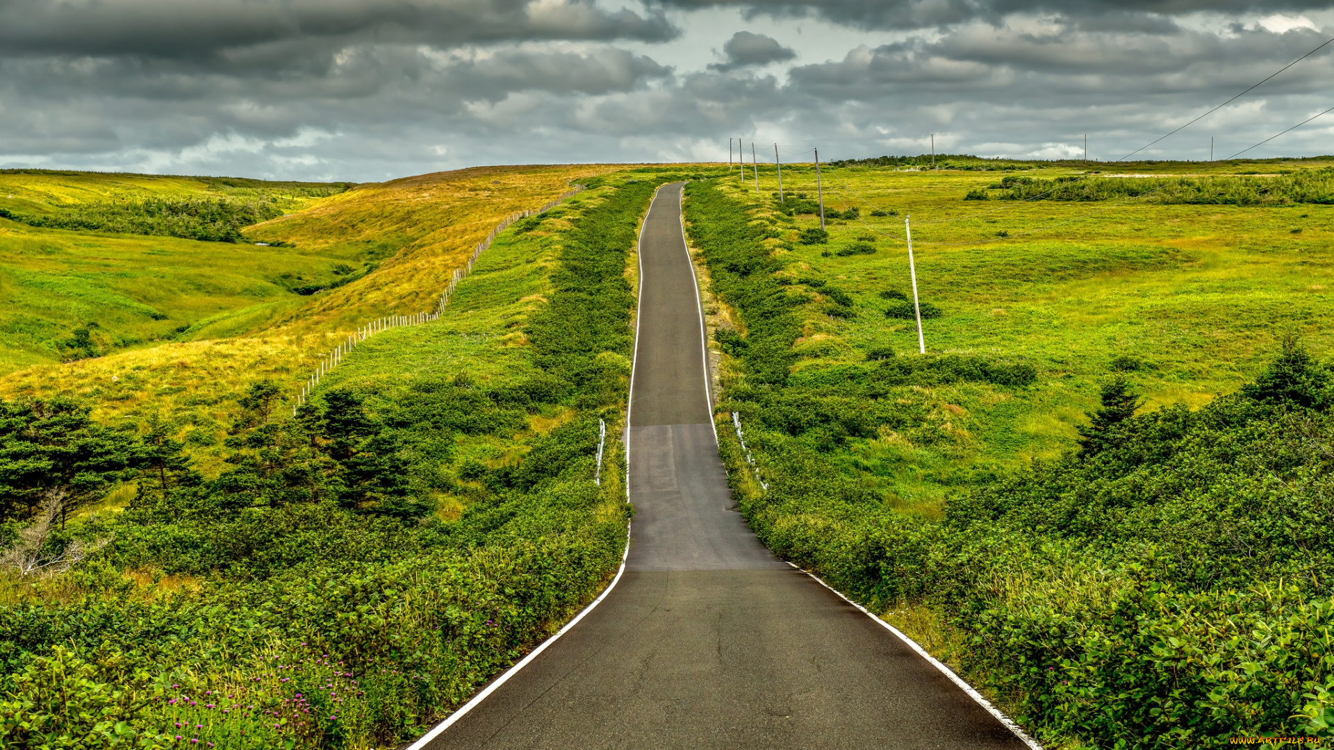природа, дороги, простор