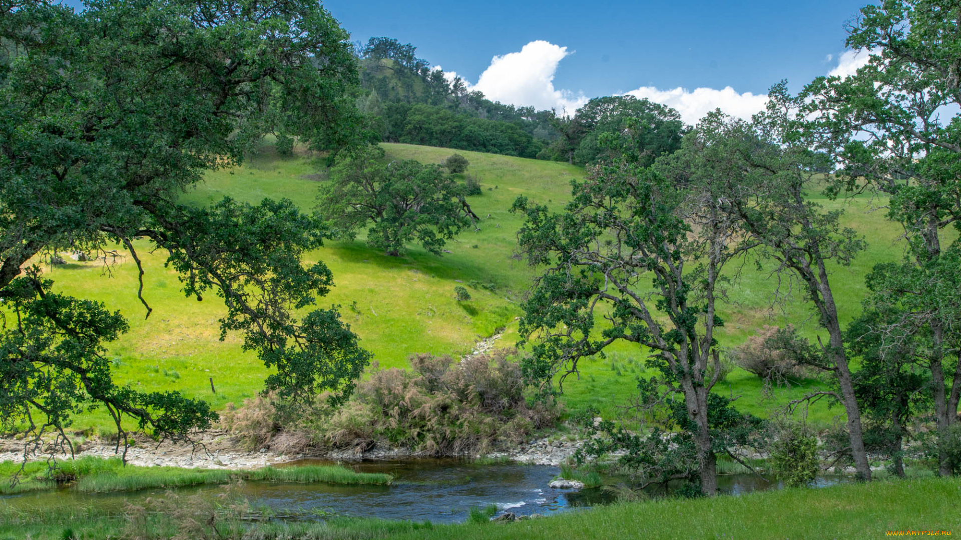 природа, пейзажи, простор