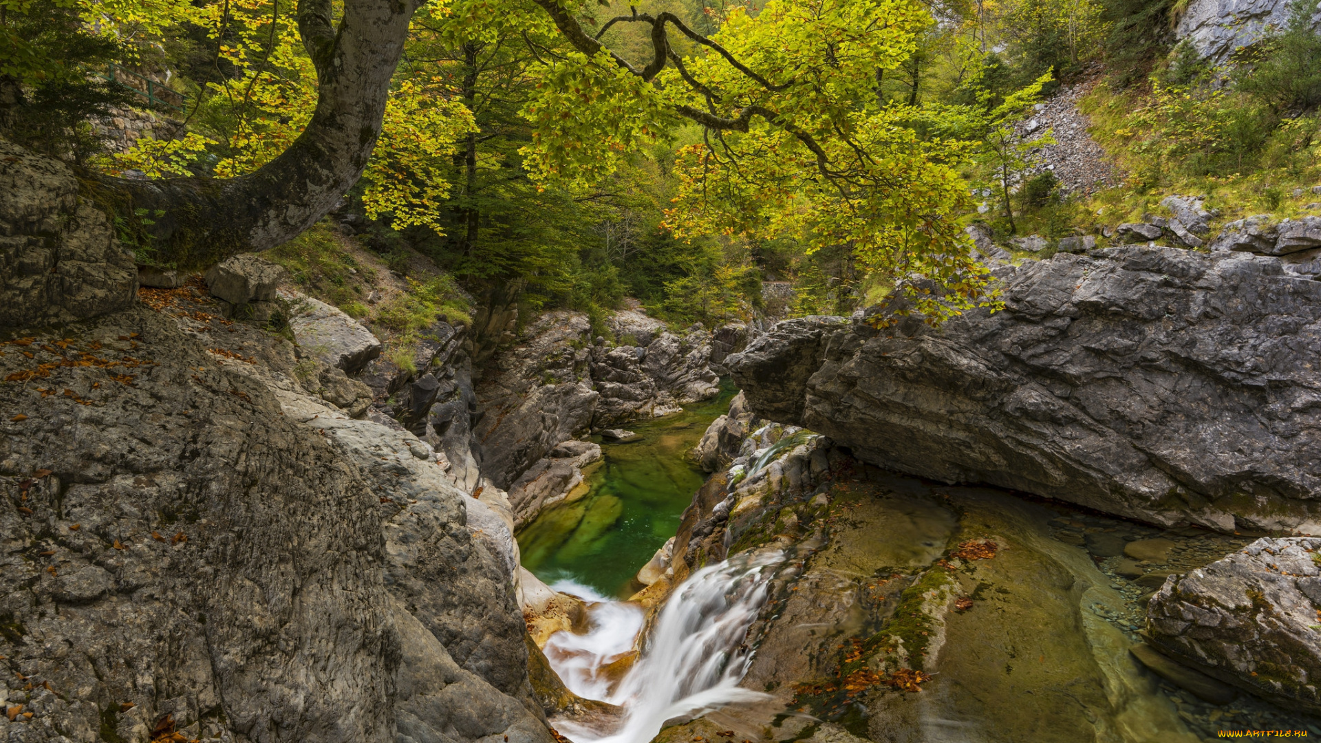 природа, реки, озера, простор