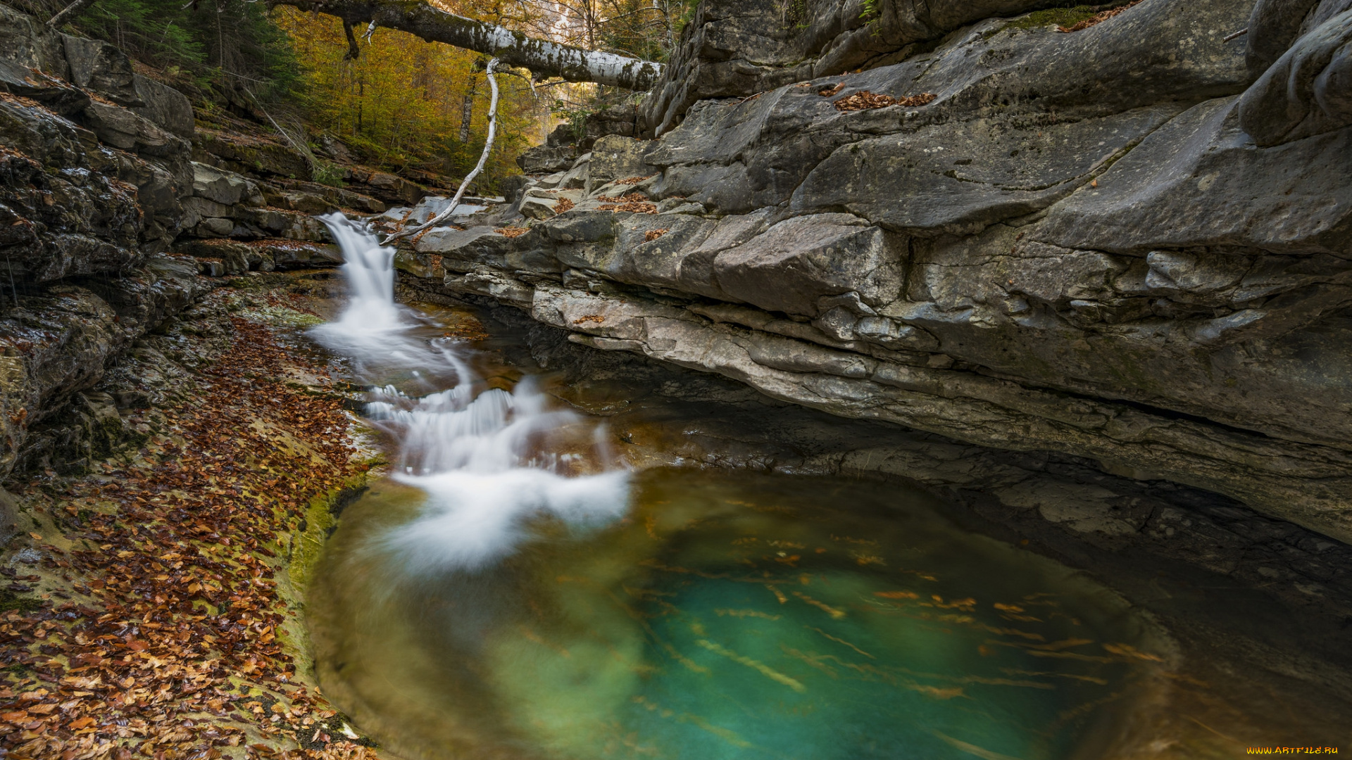 природа, реки, озера, простор