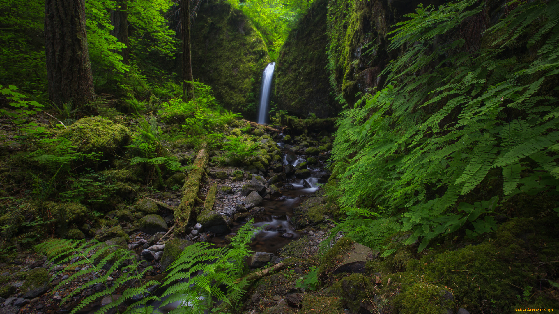 природа, водопады, река, лес